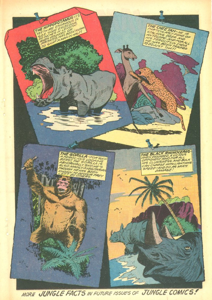 Read online Jungle Comics comic -  Issue #104 - 27