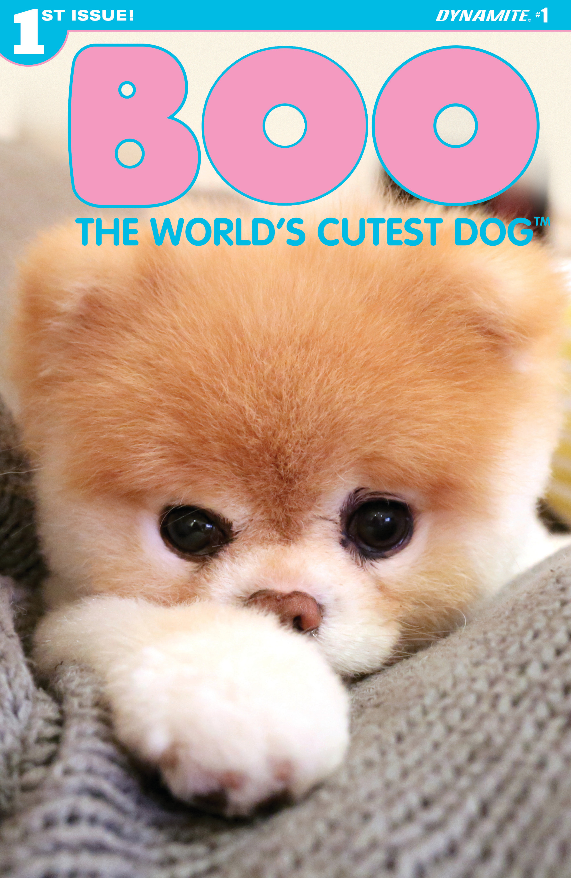 Read online Boo, The World's Cutest Dog comic -  Issue #1 - 5