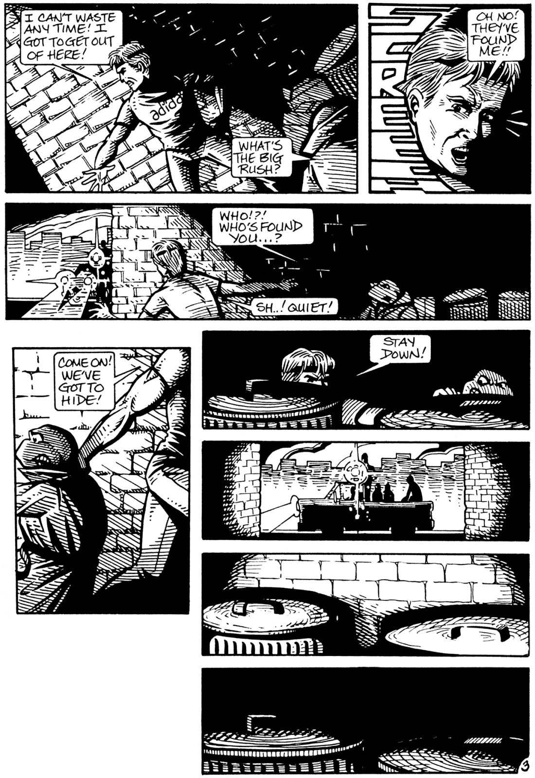 Turtle Soup (1987) issue Full - Page 36