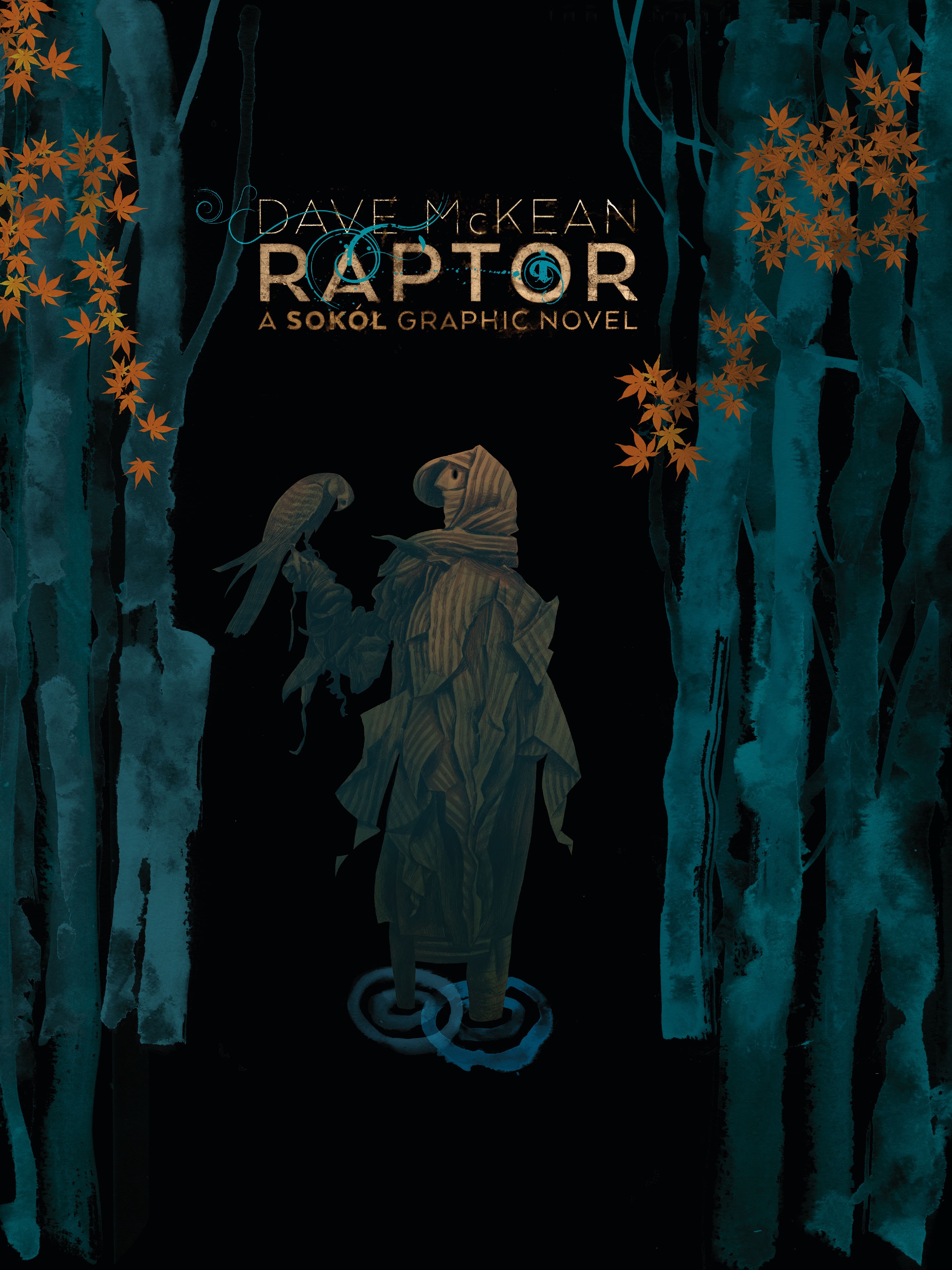 Read online Raptor: A Sokol Graphic Novel comic -  Issue # TPB - 1