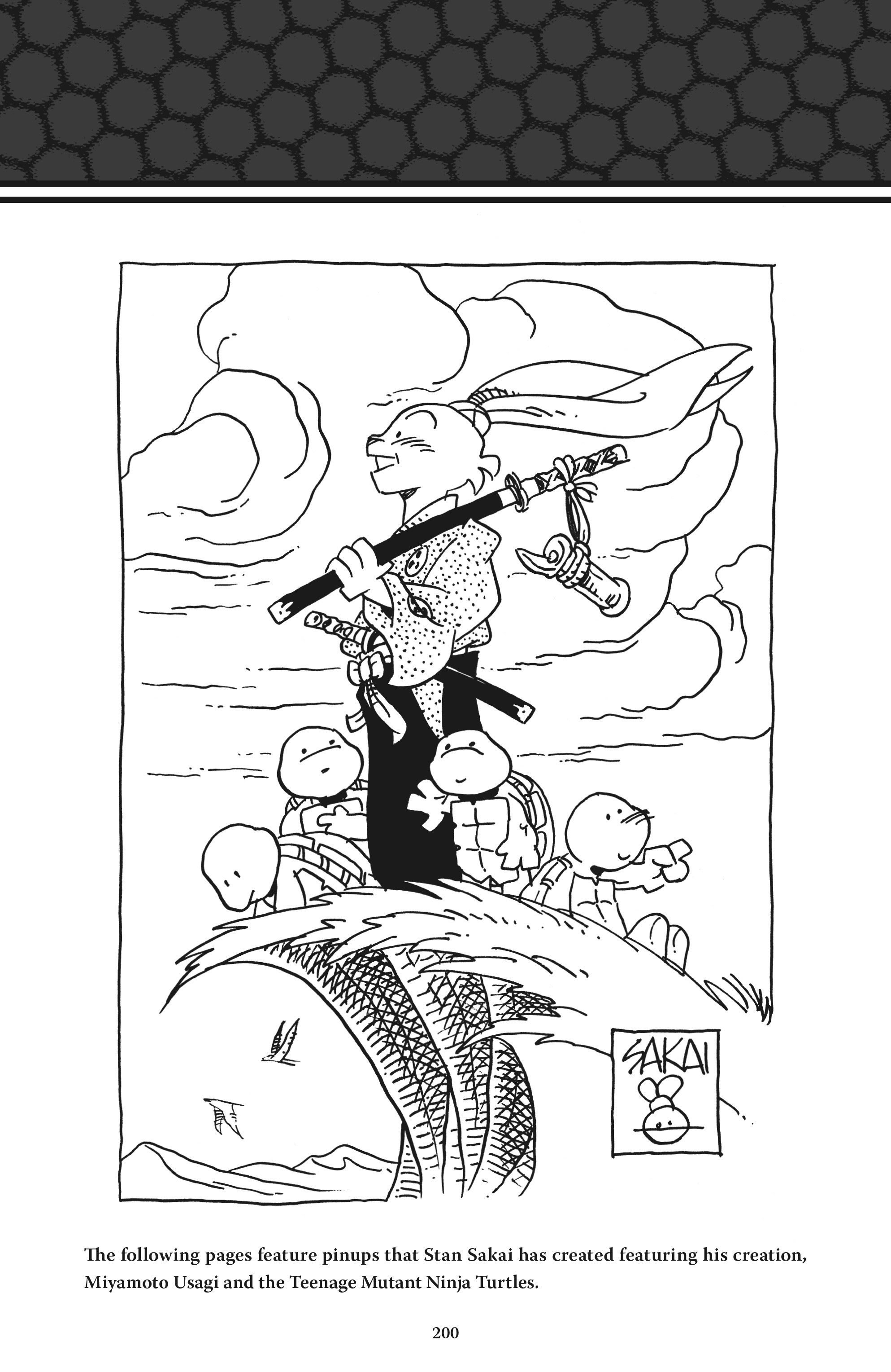 Read online Usagi Yojimbo/Teenage Mutant Ninja Turtles: The Complete Collection comic -  Issue # TPB (Part 2) - 89