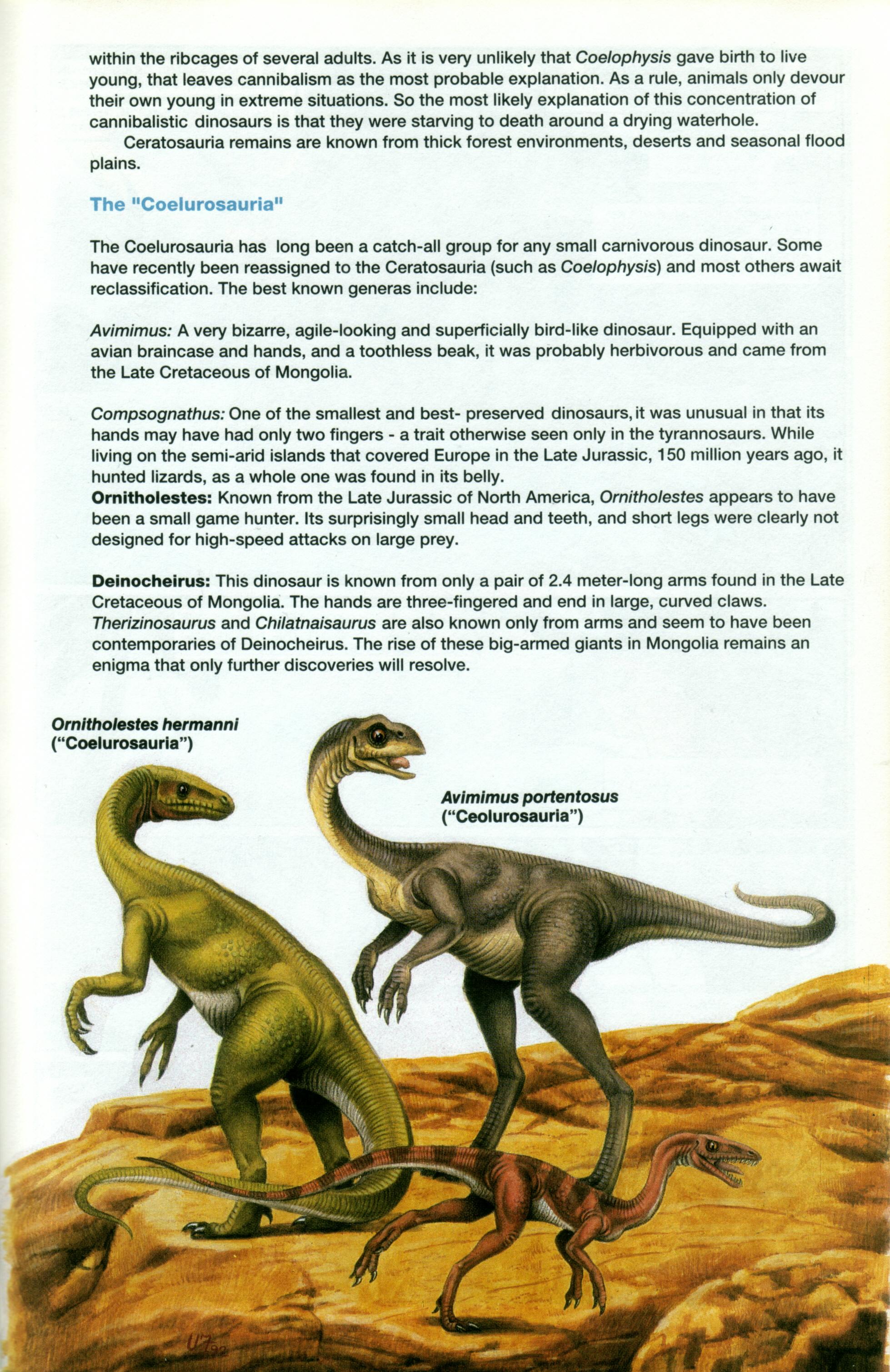 Read online Dinosaurs, A Celebration comic -  Issue #1 - 14