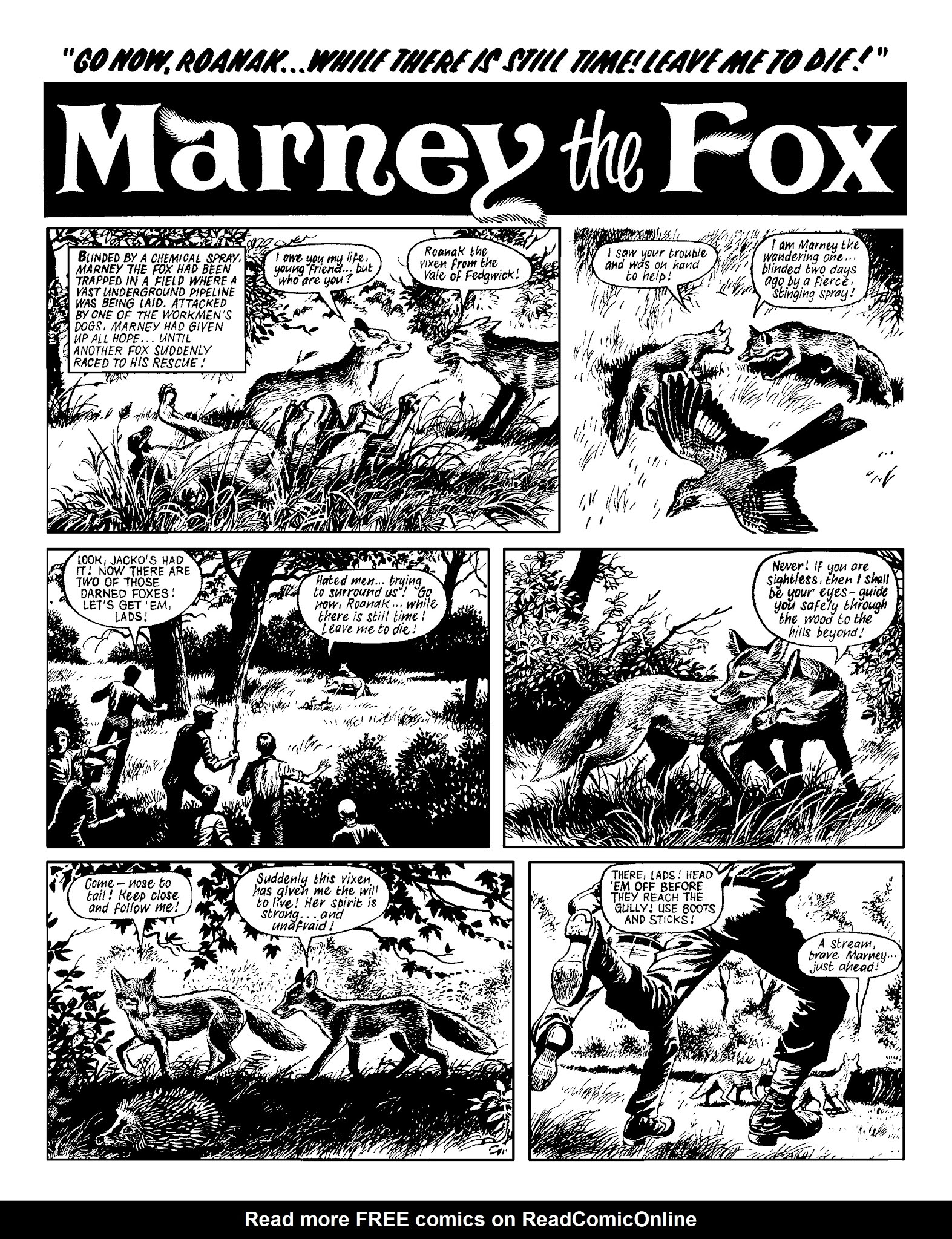 Read online Marney the Fox comic -  Issue # TPB (Part 2) - 124