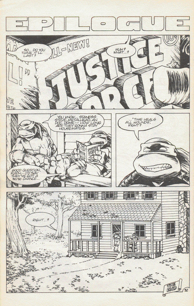 Teenage Mutant Ninja Turtles (1984) Issue #15 #15 - English 35