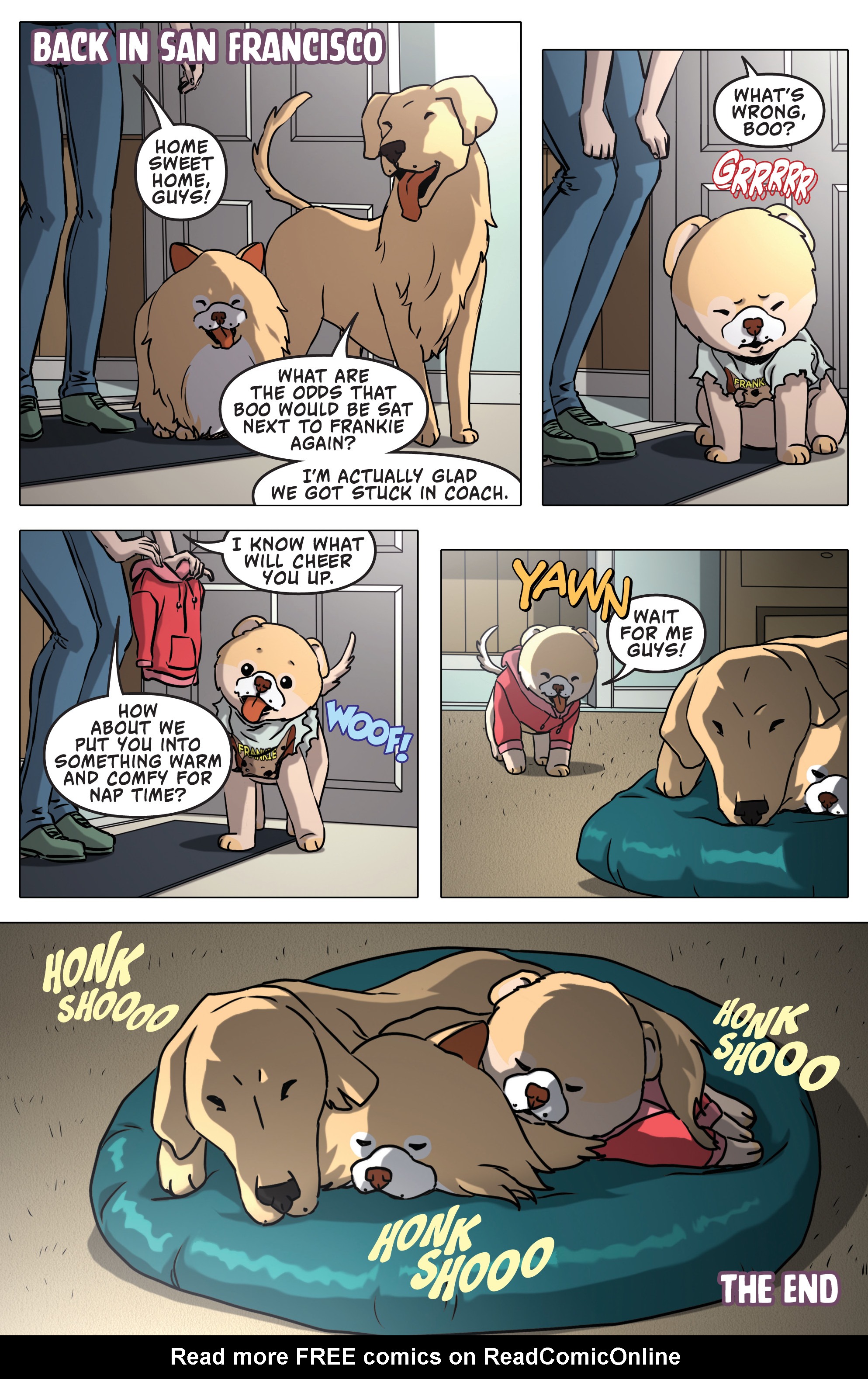 Read online Boo, The World's Cutest Dog comic -  Issue #2 - 12