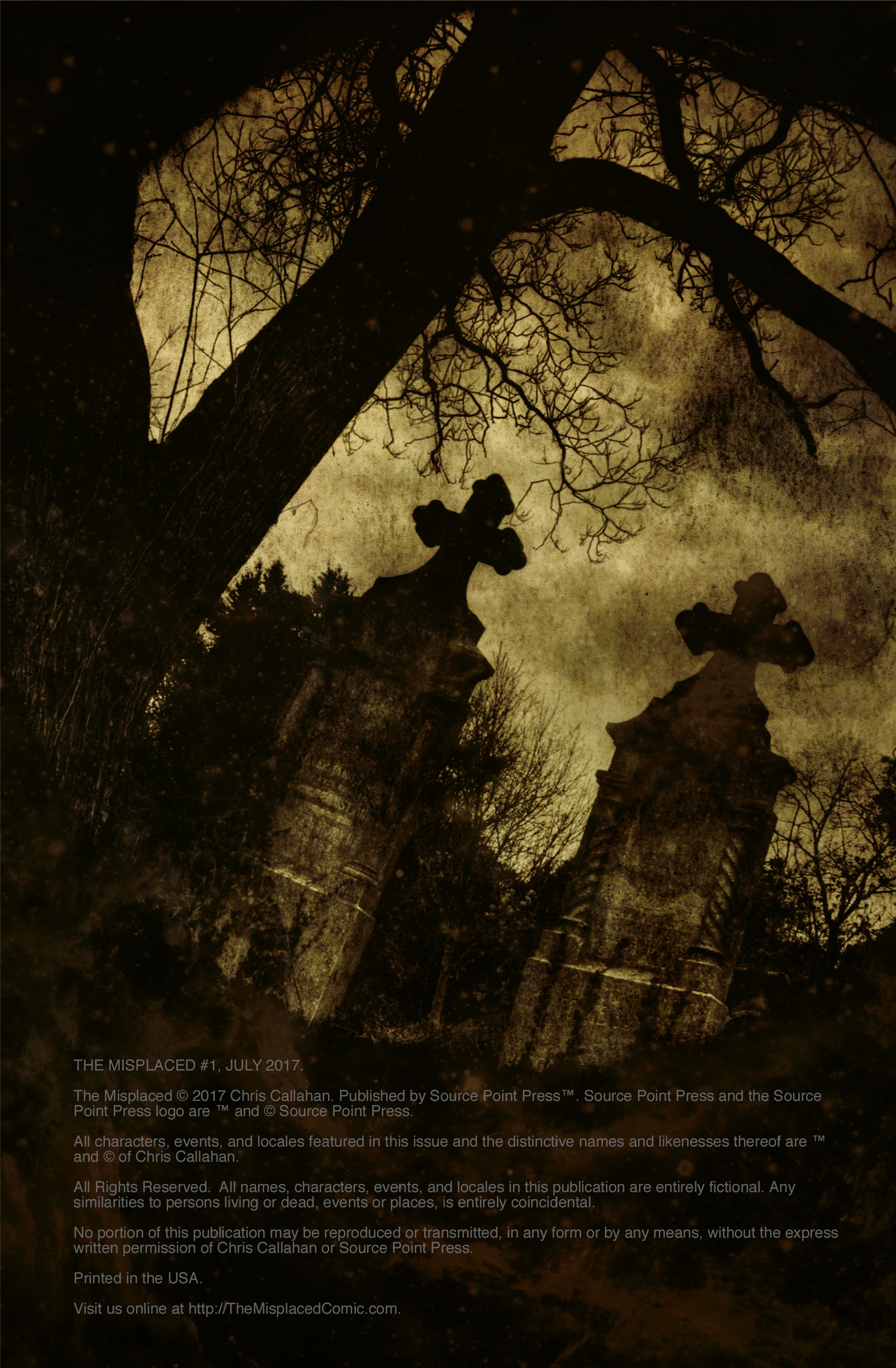 Read online The Misplaced comic -  Issue #1 - 2