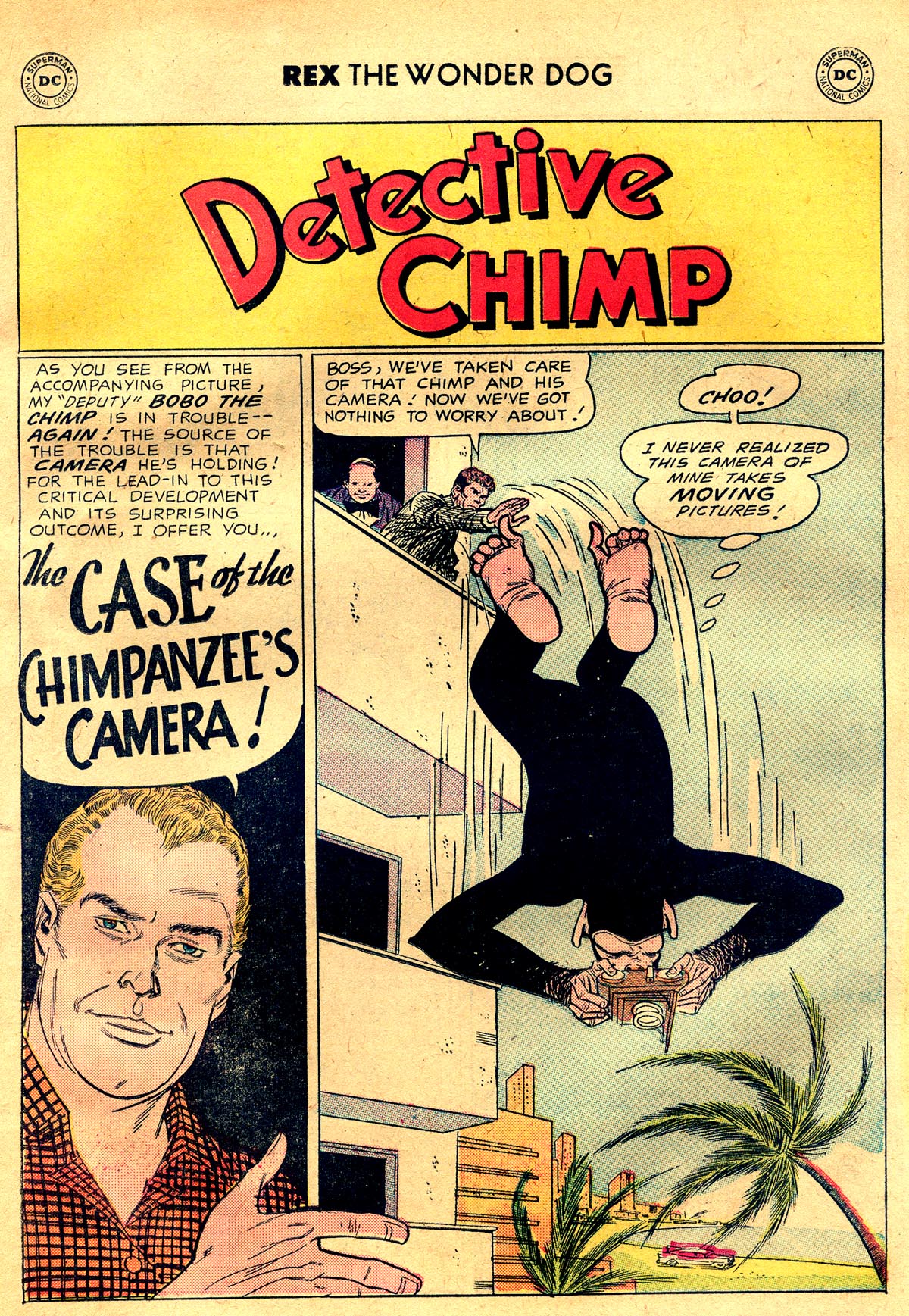 Read online The Adventures of Rex the Wonder Dog comic -  Issue #34 - 15