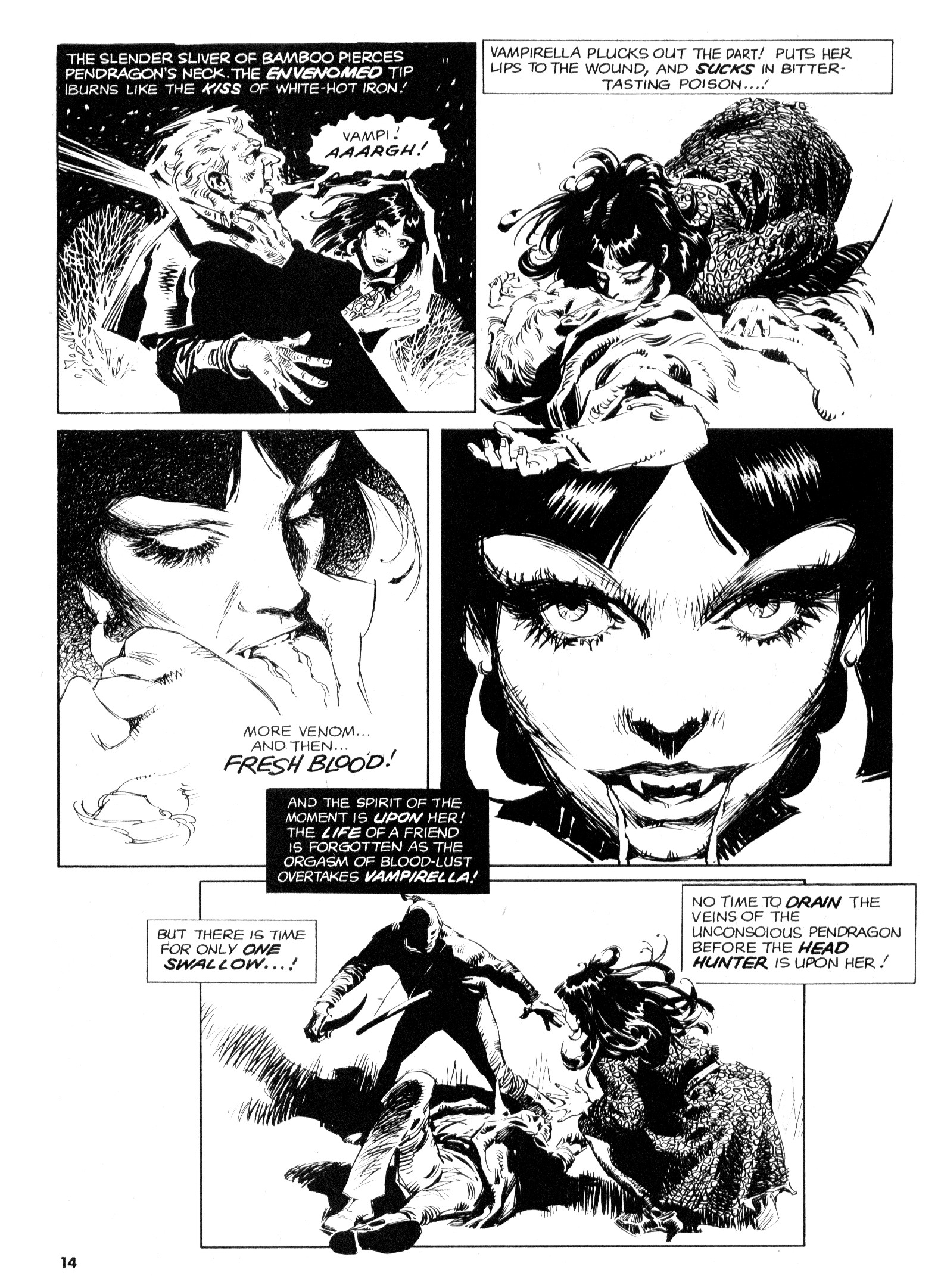 Read online Vampirella (1969) comic -  Issue #39 - 14