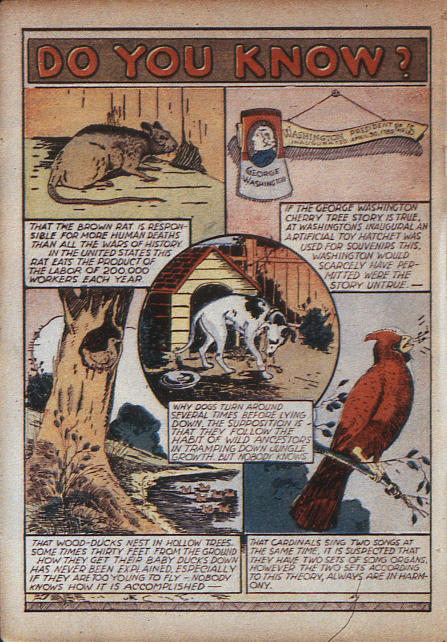 Read online Adventure Comics (1938) comic -  Issue #12 - 7