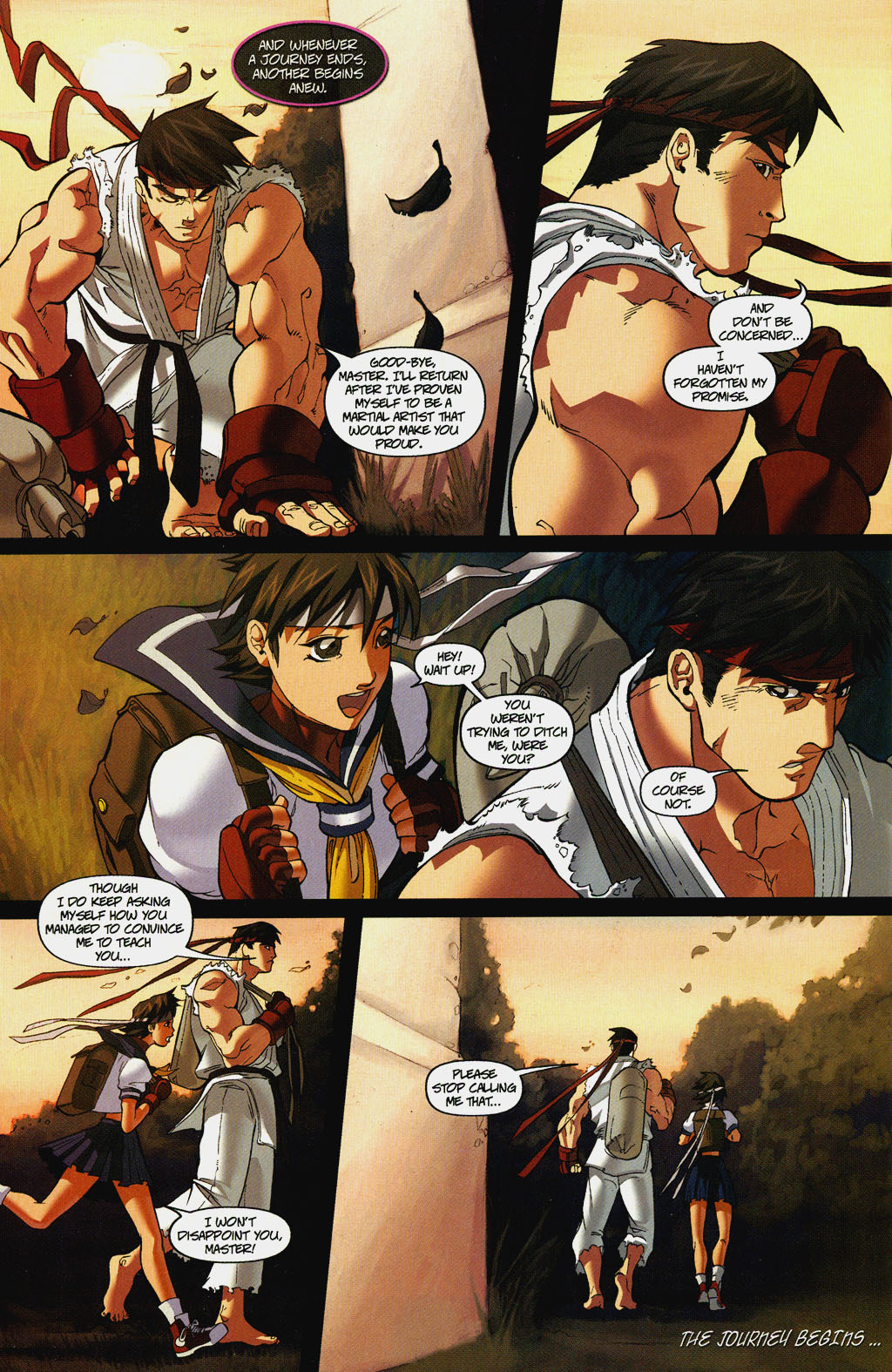 Read online Street Fighter (2003) comic -  Issue #6 - 25