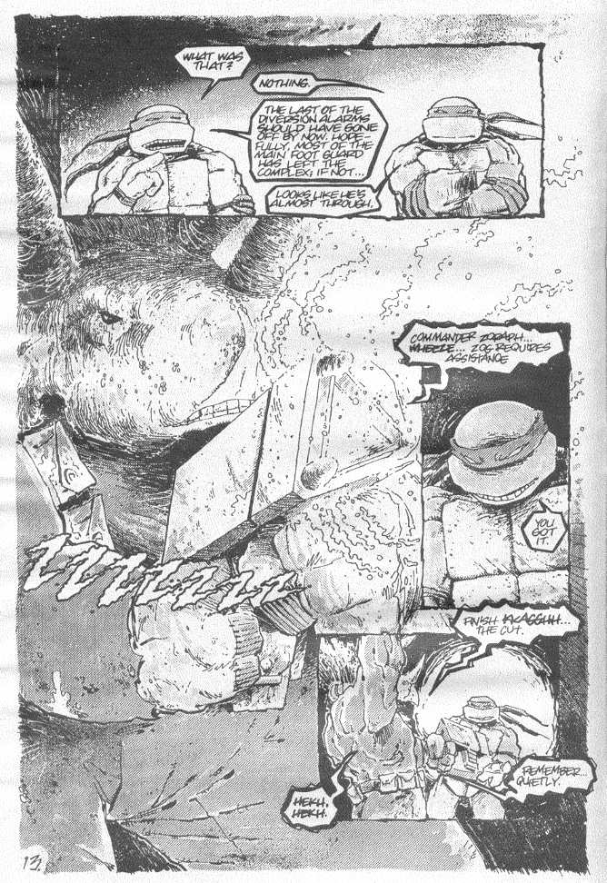 Read online Teenage Mutant Ninja Turtles (1984) comic -  Issue #20 - 14