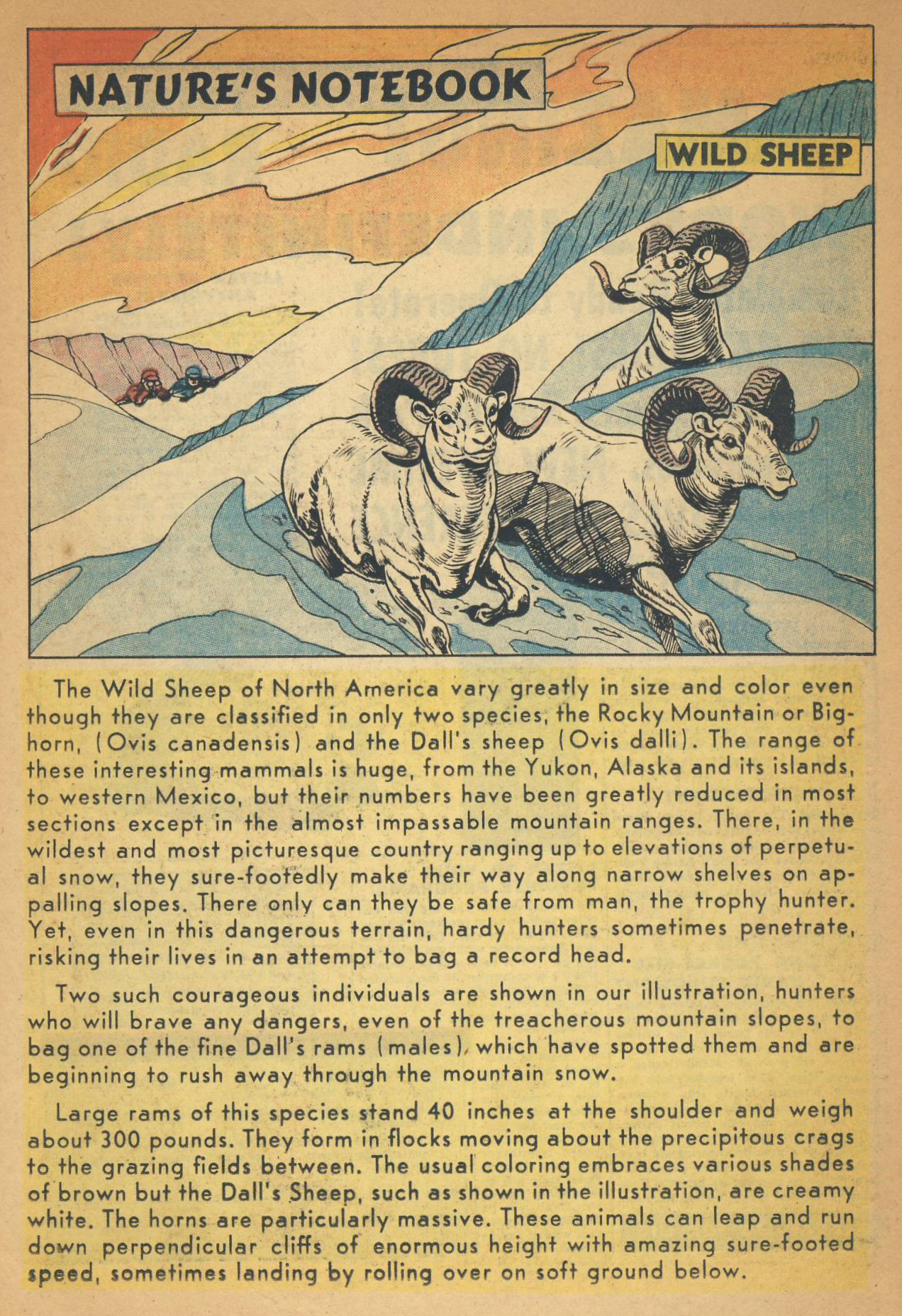 Read online Super Duck Comics comic -  Issue #83 - 27