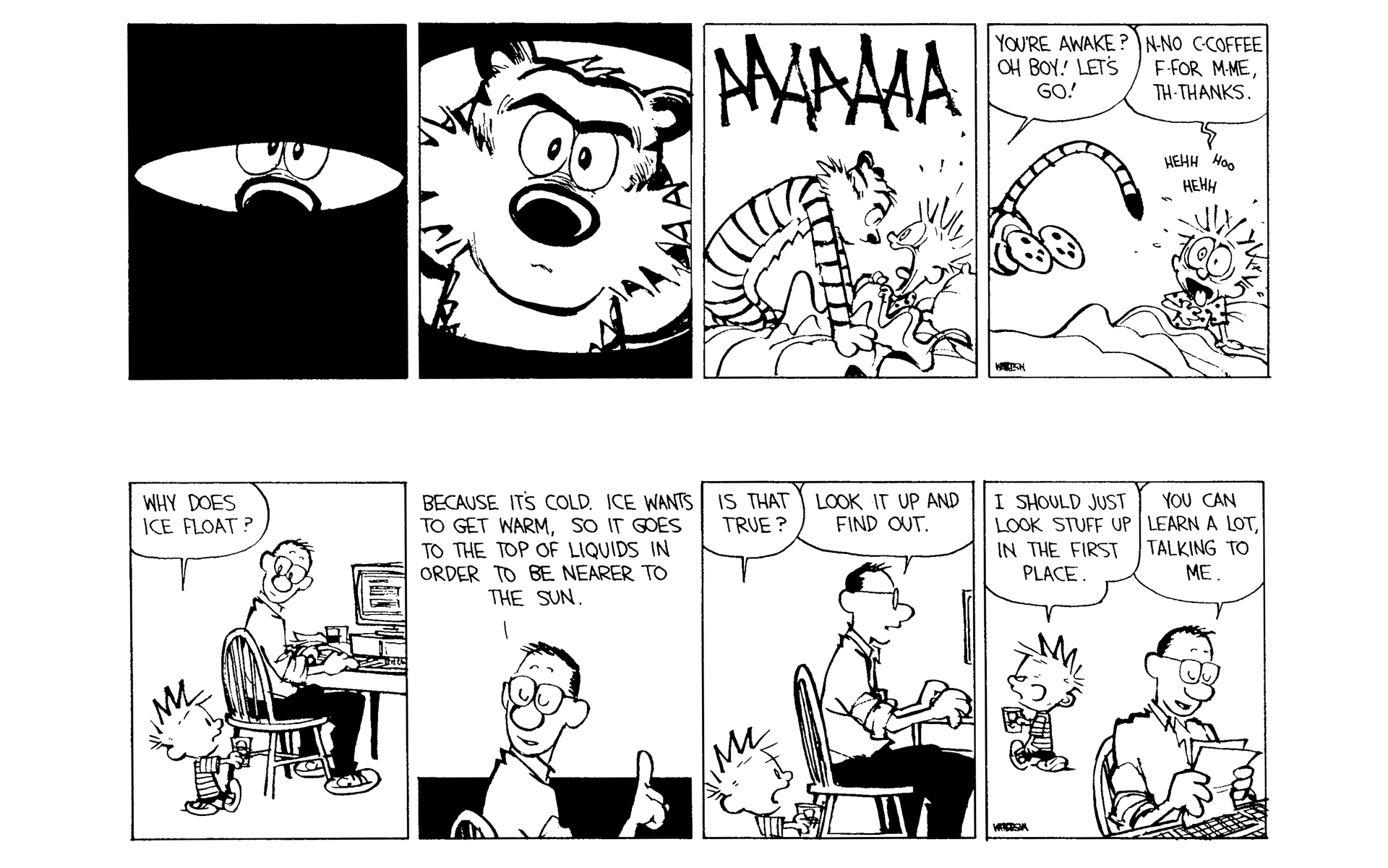 Read online Calvin and Hobbes comic -  Issue #11 - 50