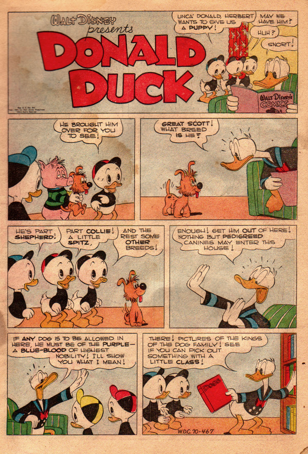 Read online Walt Disney's Comics and Stories comic -  Issue #70 - 3