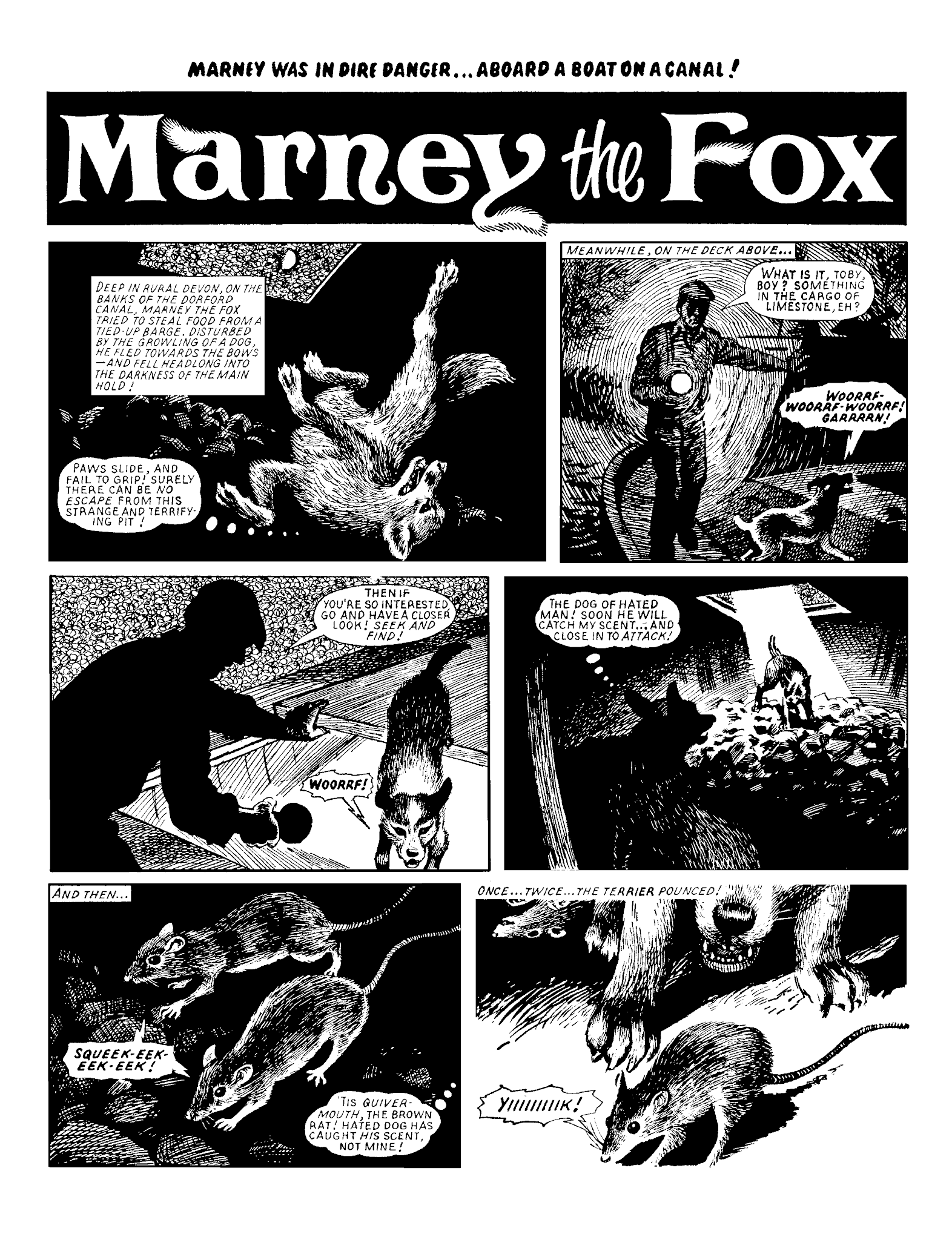 Read online Marney the Fox comic -  Issue # TPB (Part 2) - 26