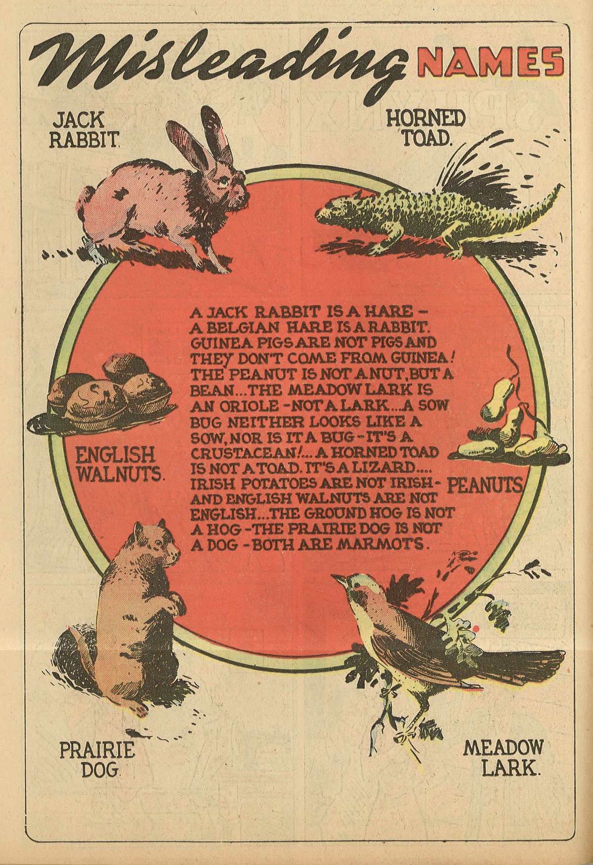 Read online Star Comics comic -  Issue #9 - 26