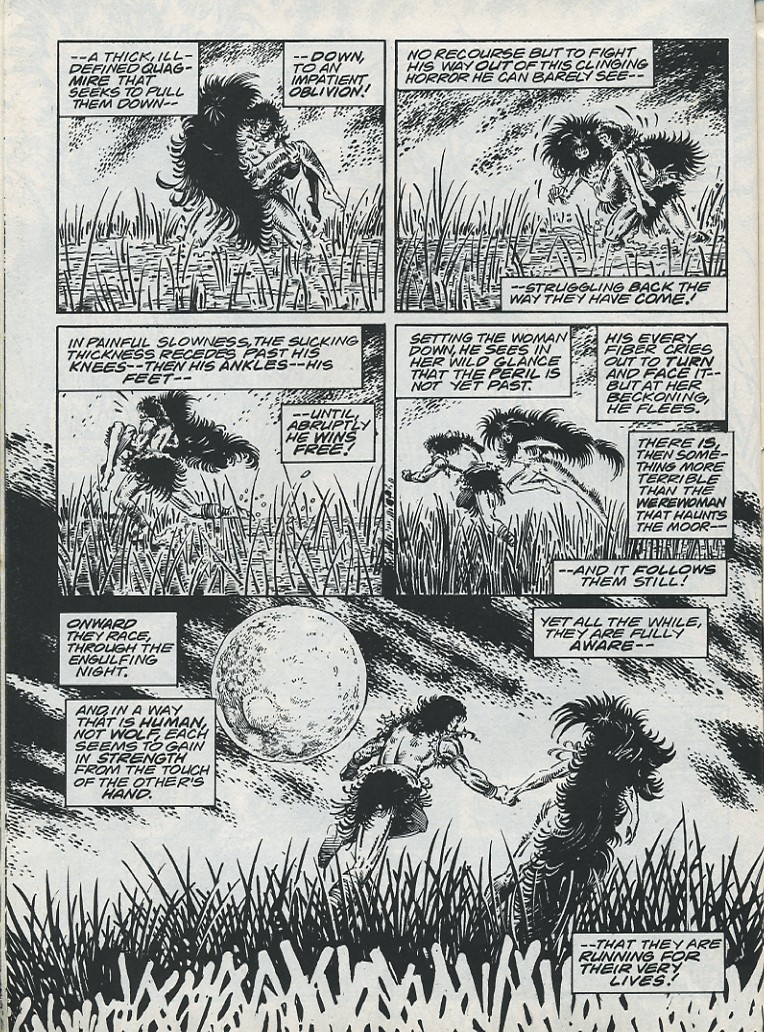 The Savage Sword Of Conan issue 221 - Page 26