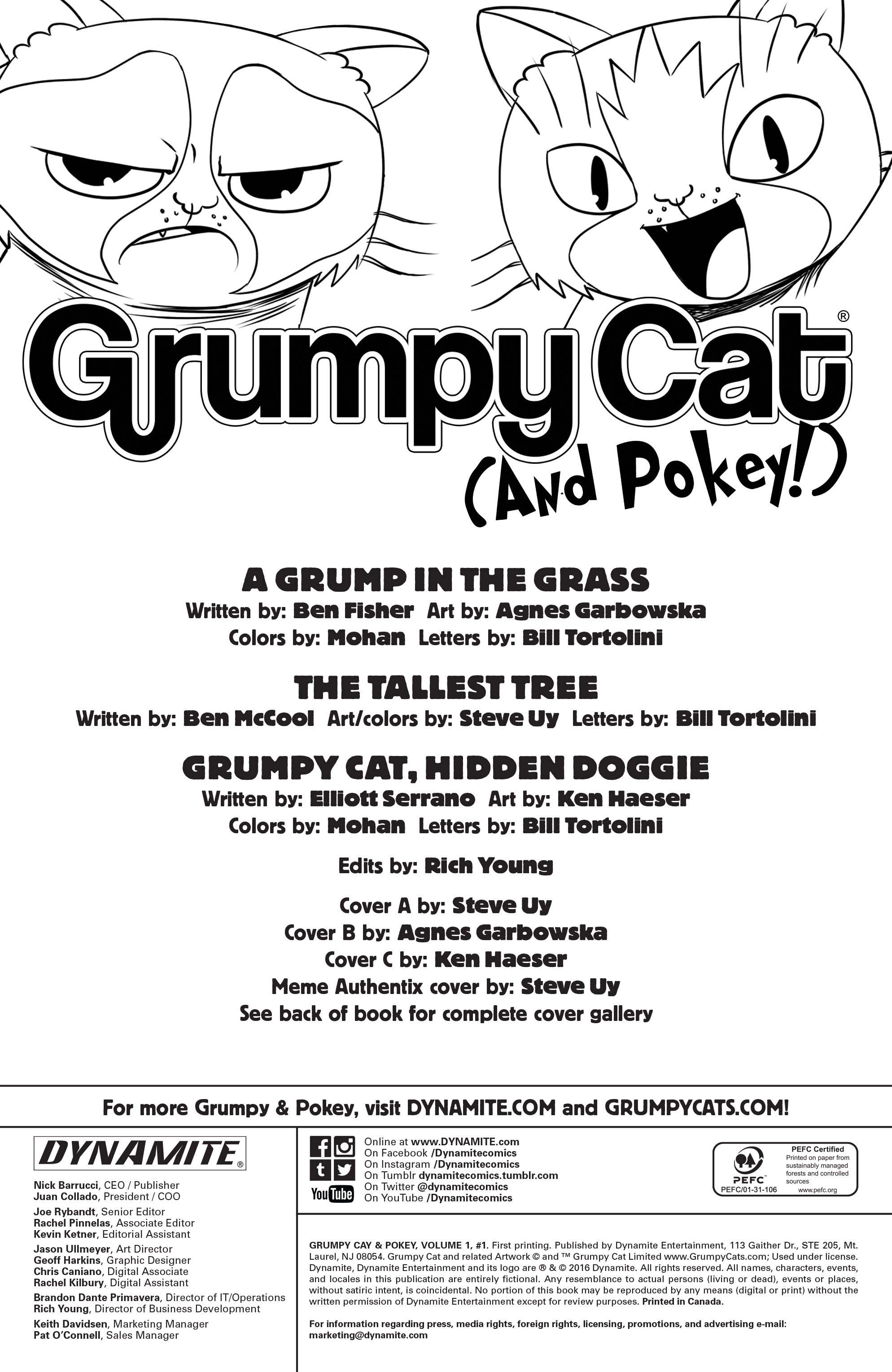 Read online Grumpy Cat & Pokey comic -  Issue #1 - 2