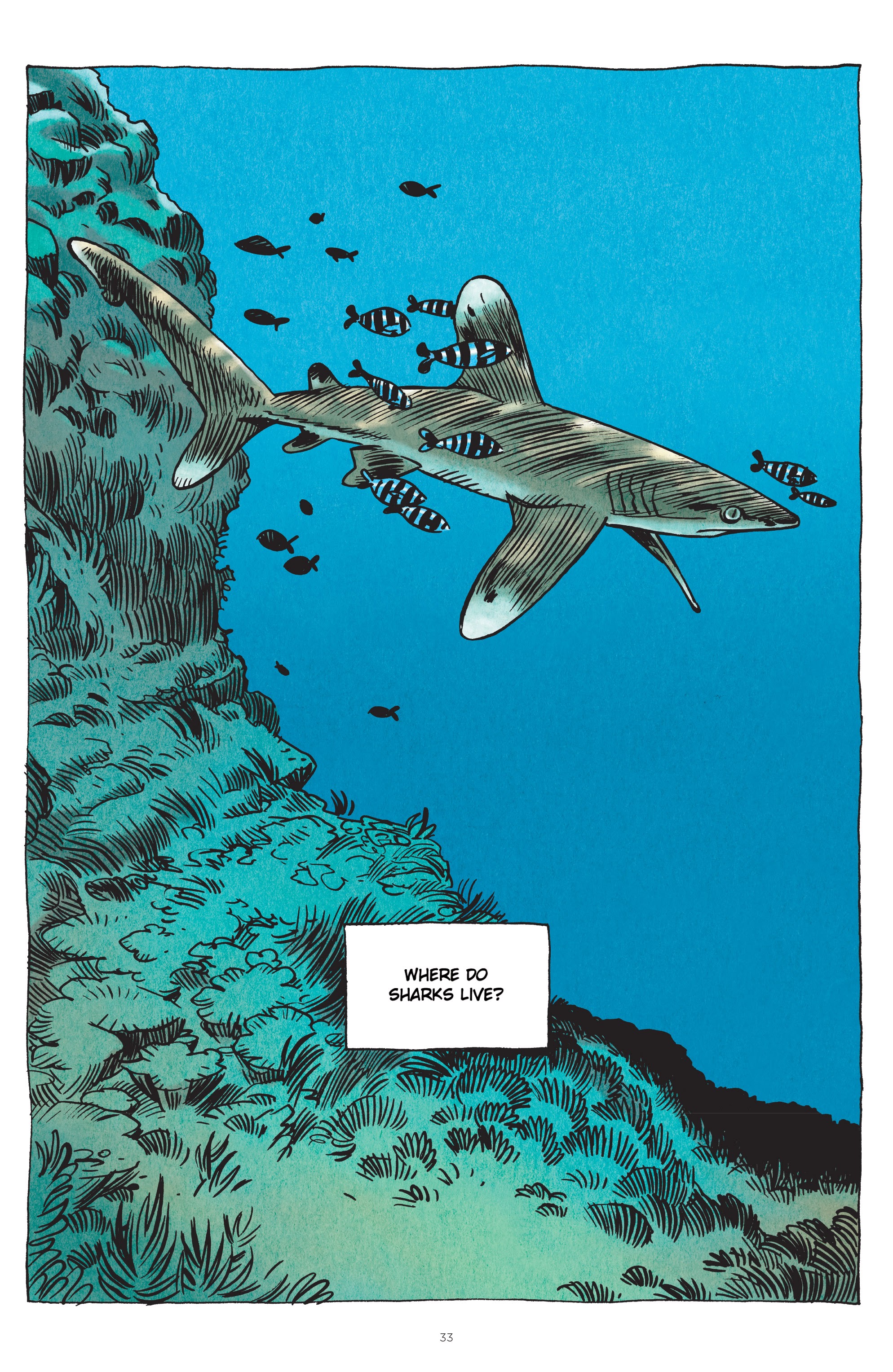 Read online Little Book of Knowledge: Sharks comic -  Issue # TPB - 33