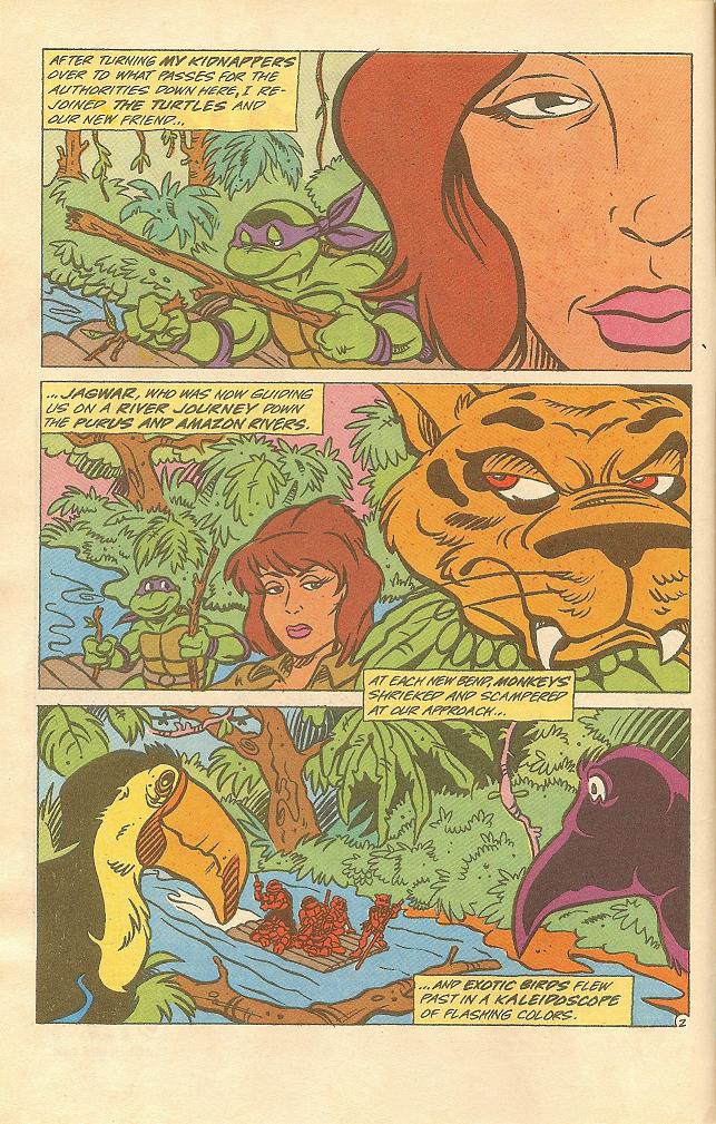 Read online Teenage Mutant Ninja Turtles Adventures (1989) comic -  Issue #15 - 3