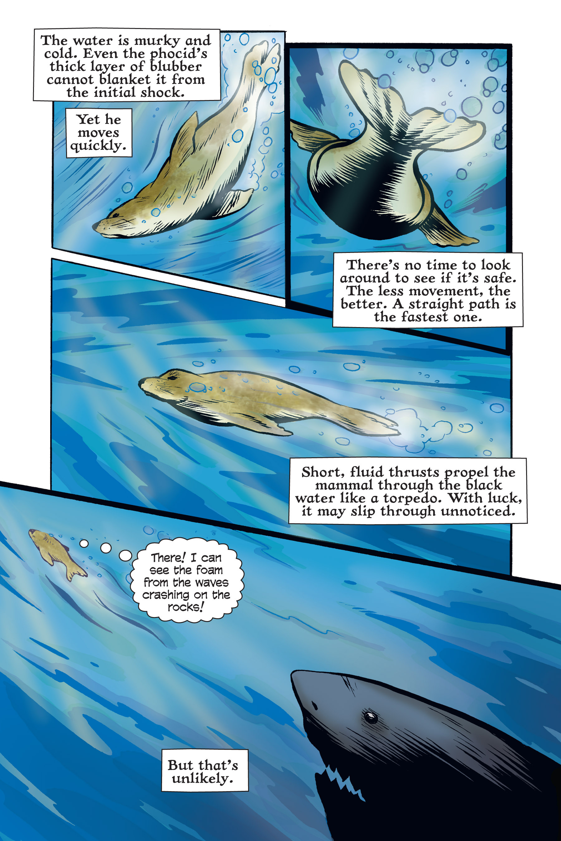 Read online Xoc: Journey of a Great White comic -  Issue # TPB - 19