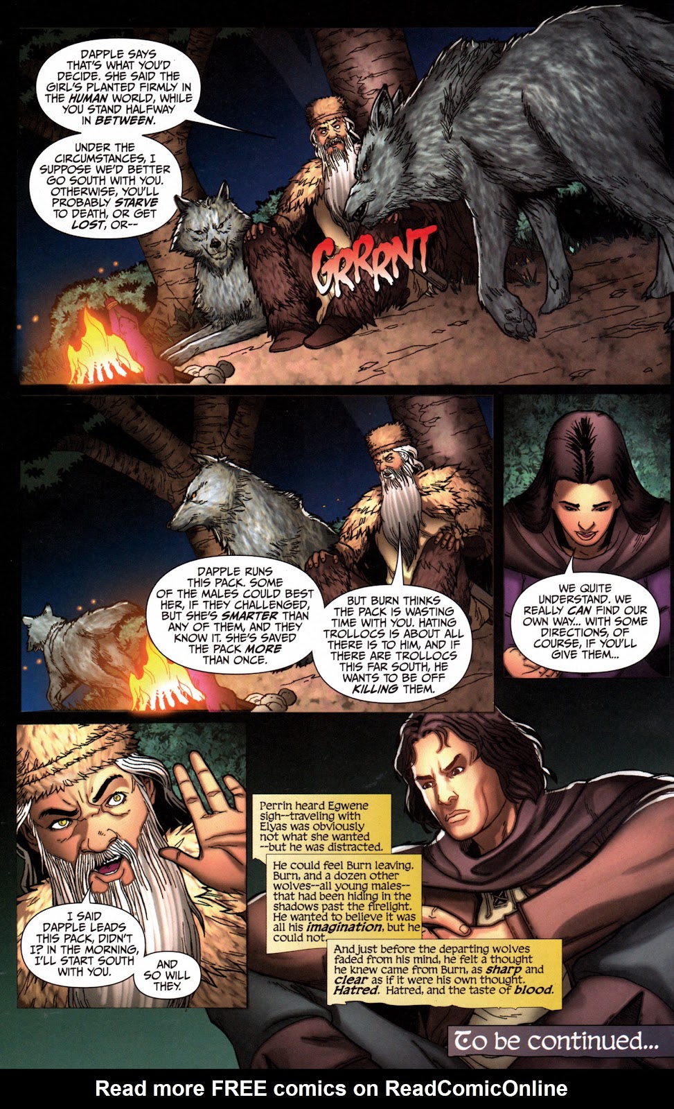 Robert Jordan's Wheel of Time: The Eye of the World issue 16 - Page 24