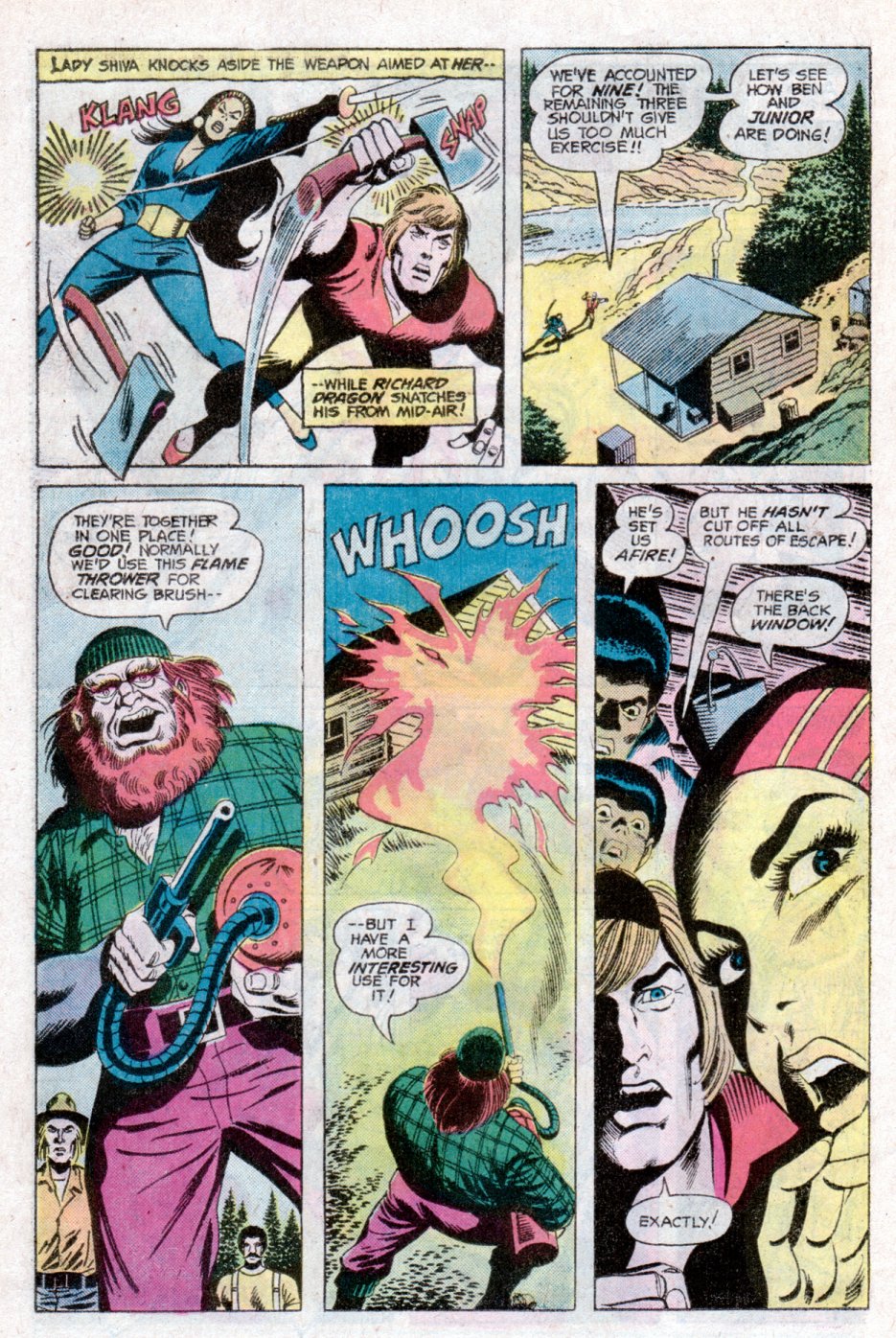 Read online Richard Dragon, Kung-Fu Fighter comic -  Issue #10 - 15