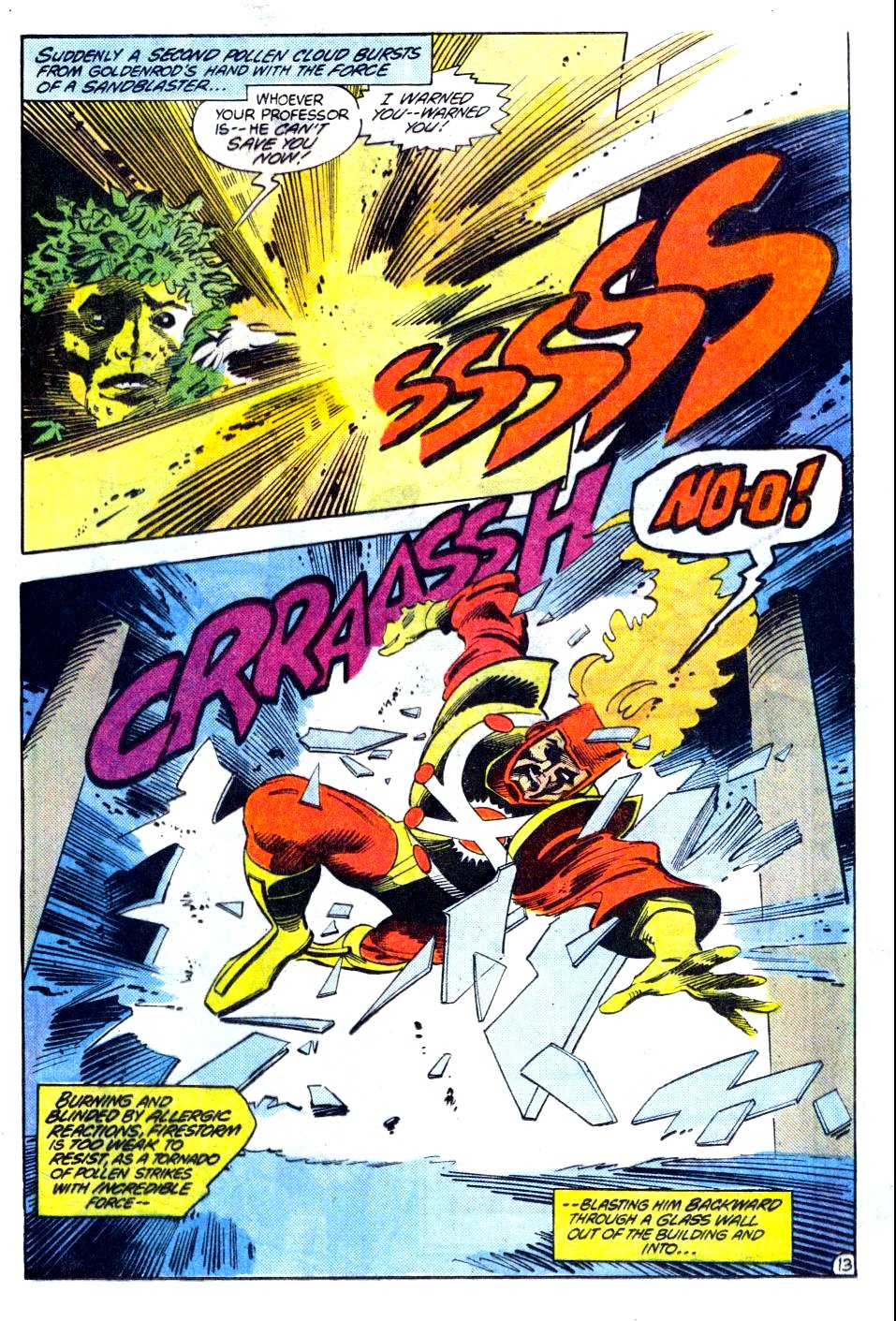 The Fury of Firestorm Issue #19 #23 - English 14