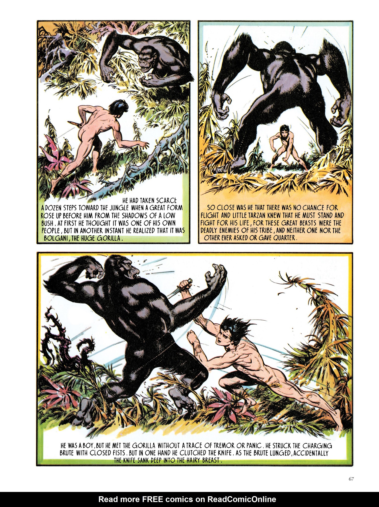 Read online Edgar Rice Burroughs' Tarzan: Burne Hogarth's Lord of the Jungle comic -  Issue # TPB - 69