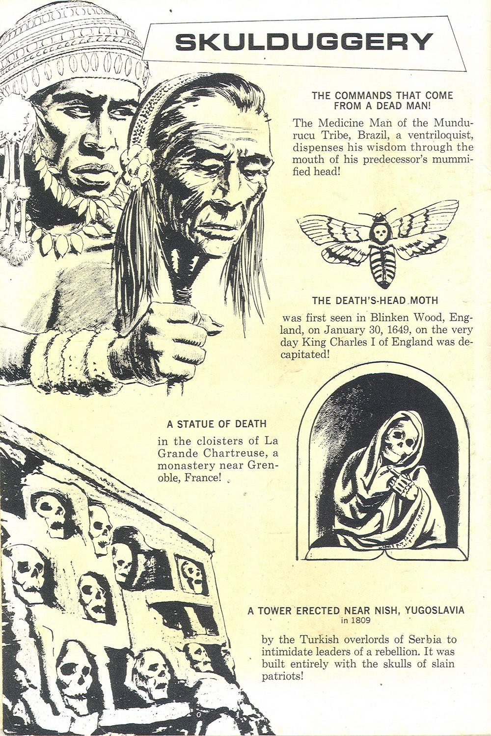 Read online Ripley's Believe it or Not! (1965) comic -  Issue #8 - 2