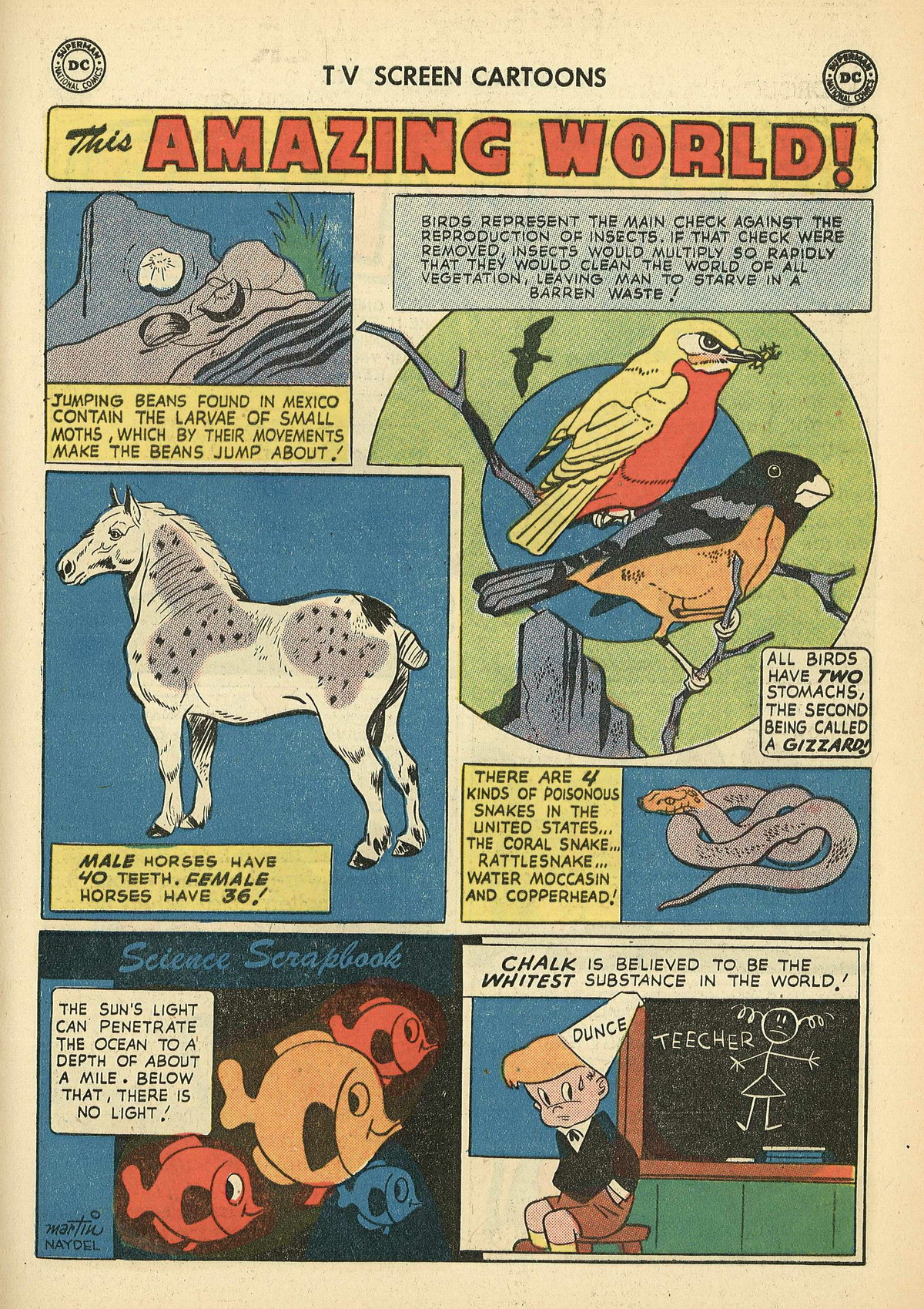 Read online TV Screen Cartoons comic -  Issue #134 - 23