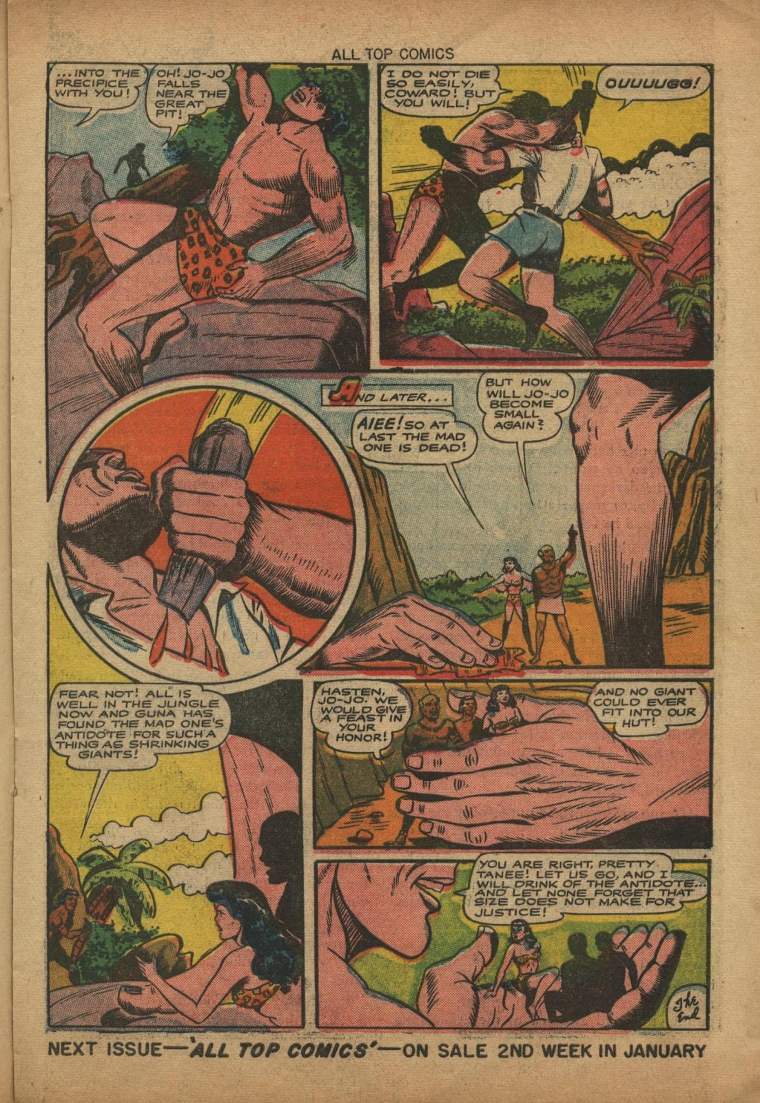 All Top Comics (1946) issue 9 - Page 17