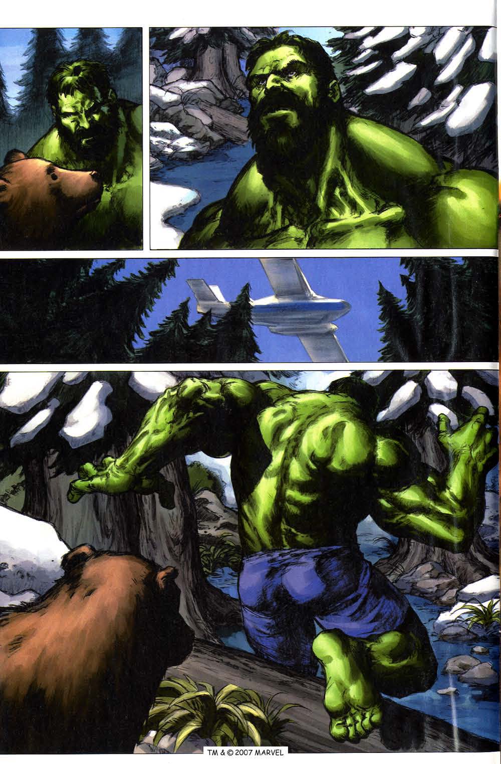 The Incredible Hulk (2000) Issue #88 #77 - English 6