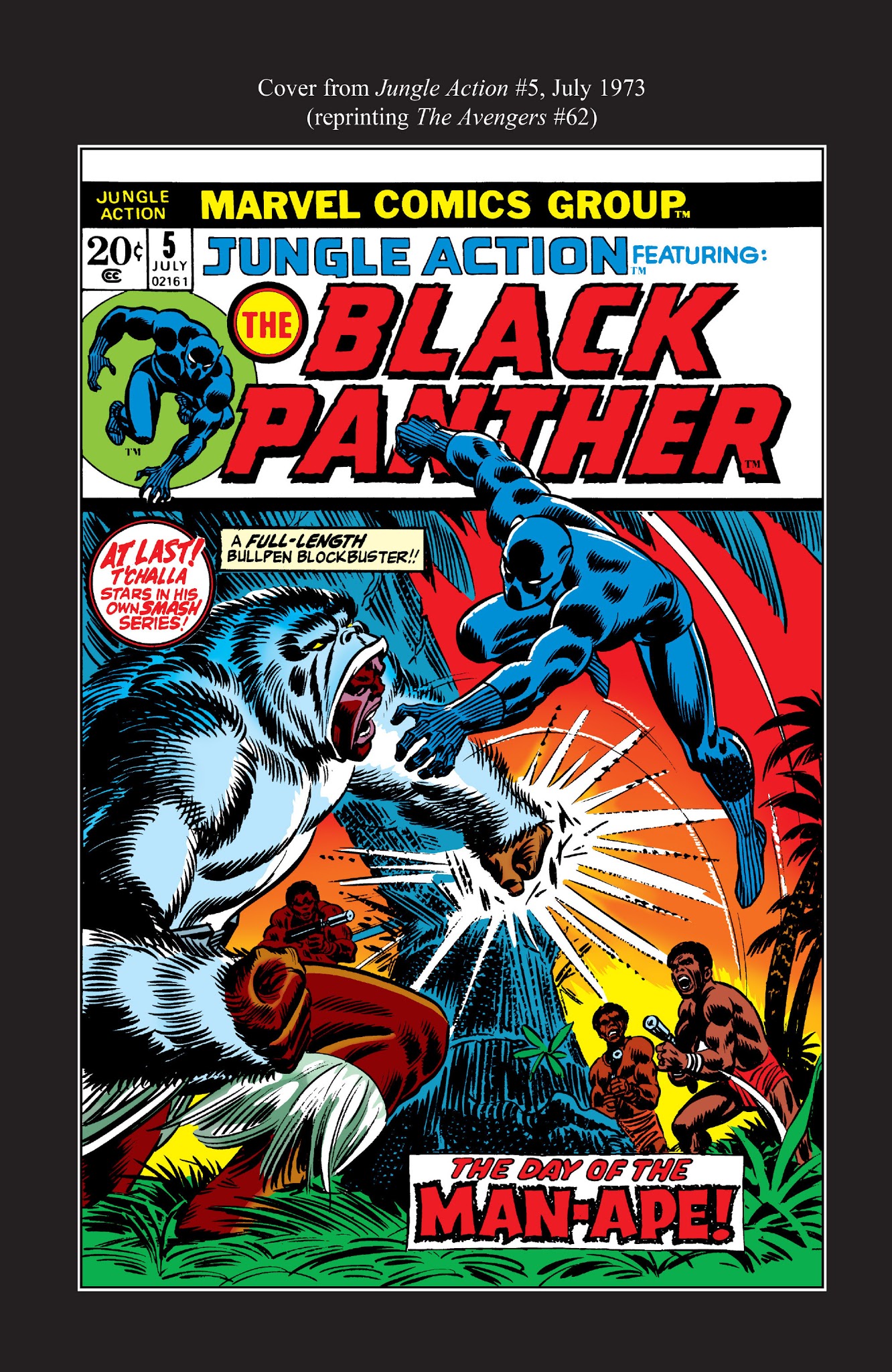 Read online Marvel Masterworks: The Black Panther comic -  Issue # TPB 1 - 314