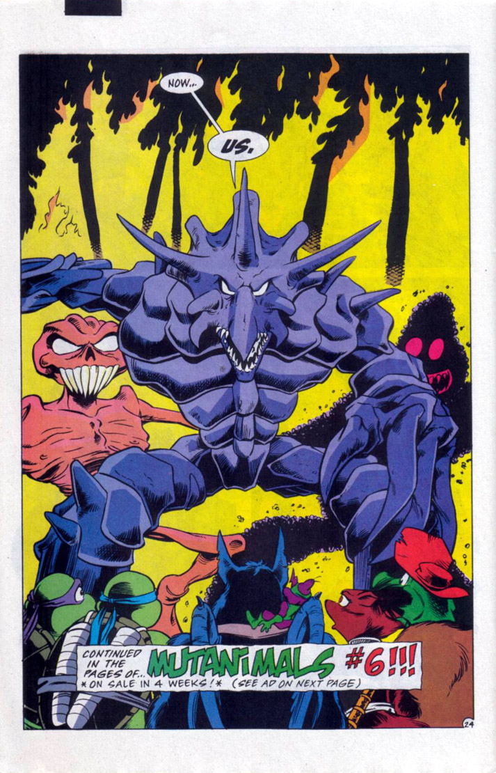 Read online Teenage Mutant Ninja Turtles Adventures (1989) comic -  Issue #38 - 24