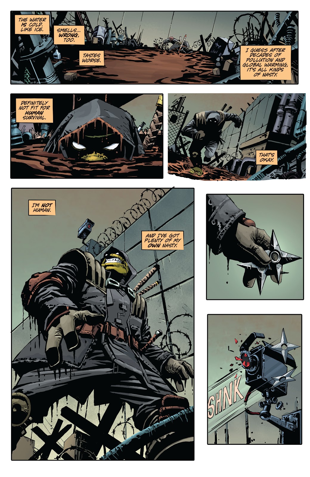 Teenage Mutant Ninja Turtles (2011) issue 112 - Page 29