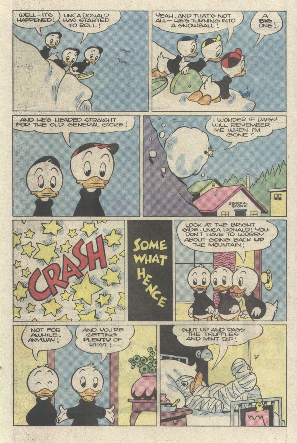 Read online Walt Disney's Donald Duck (1986) comic -  Issue #269 - 21