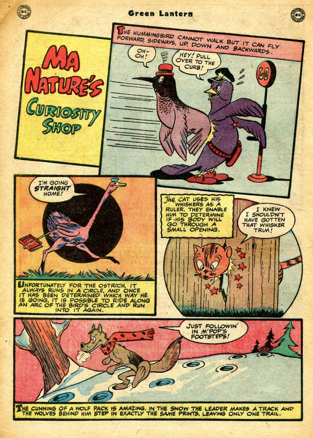 Green Lantern (1941) Issue #33 #33 - English 49