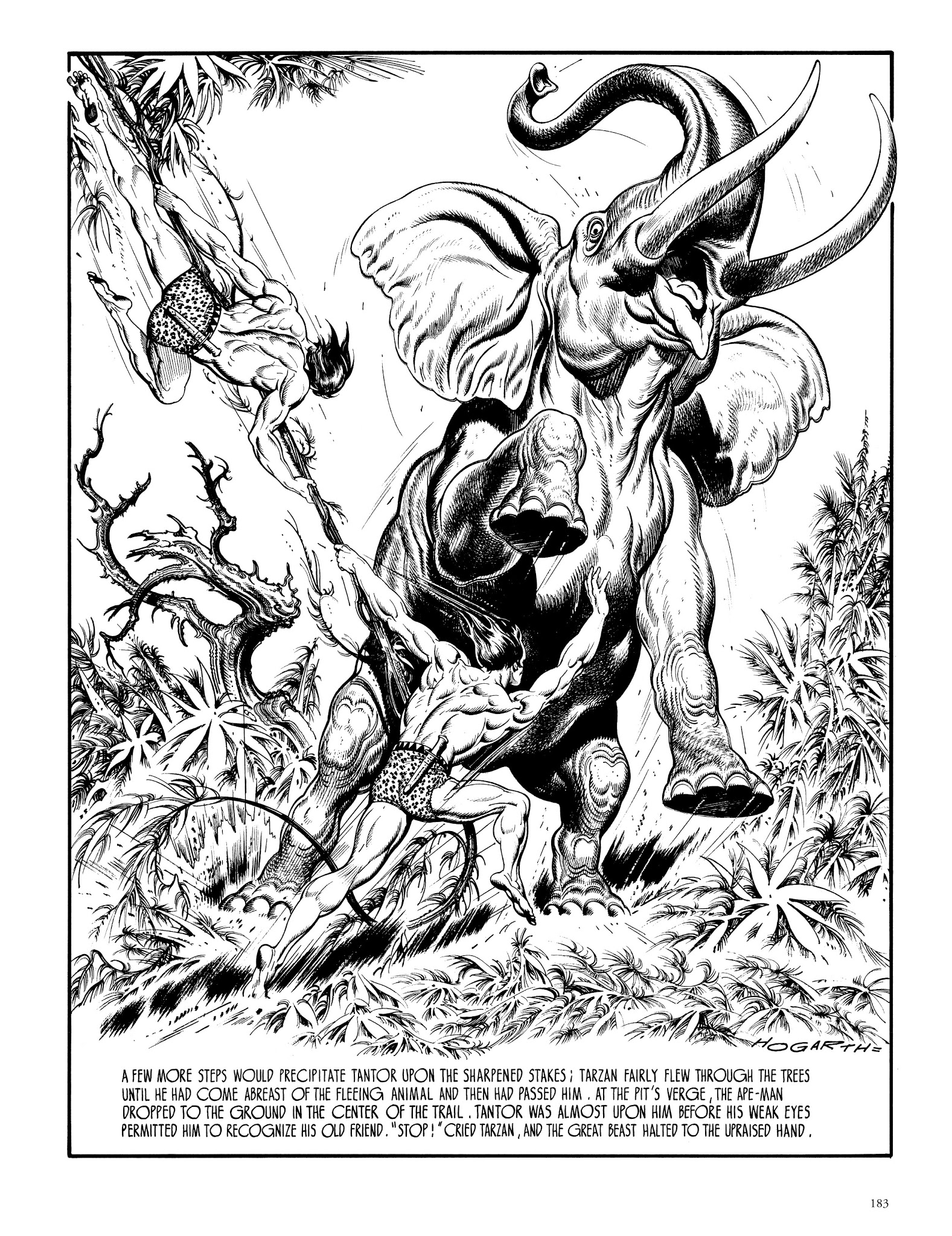 Read online Edgar Rice Burroughs' Tarzan: Burne Hogarth's Lord of the Jungle comic -  Issue # TPB - 182