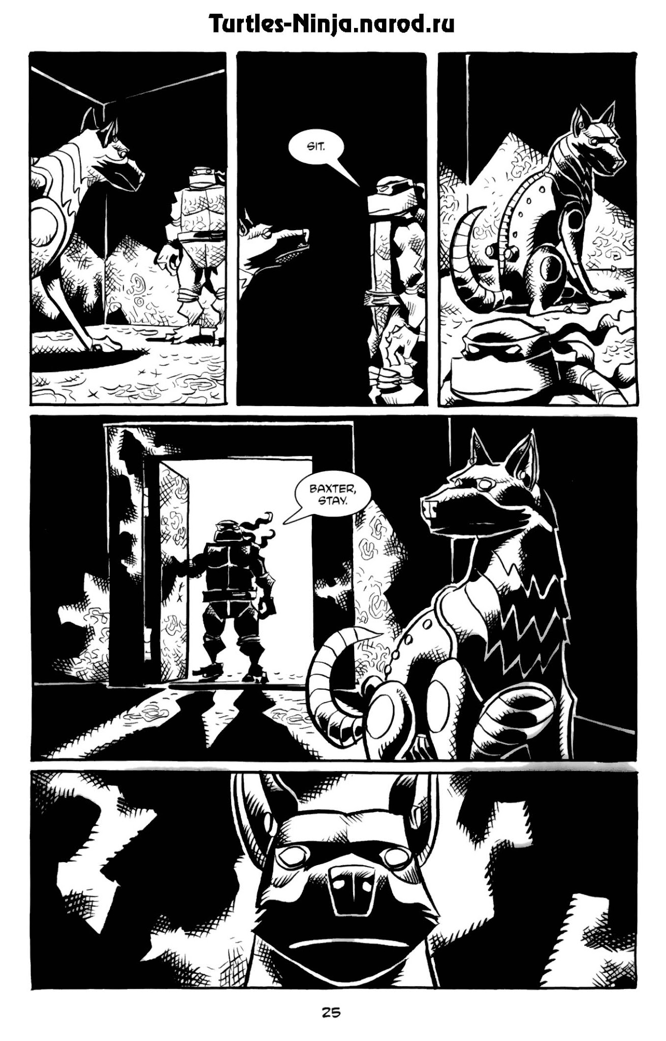 Read online Donatello The Brain Thief comic -  Issue #4 - 27