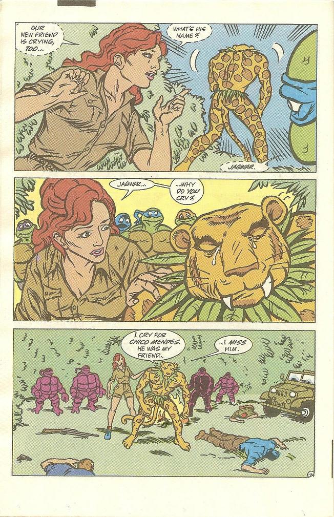Read online Teenage Mutant Ninja Turtles Adventures (1989) comic -  Issue #14 - 25