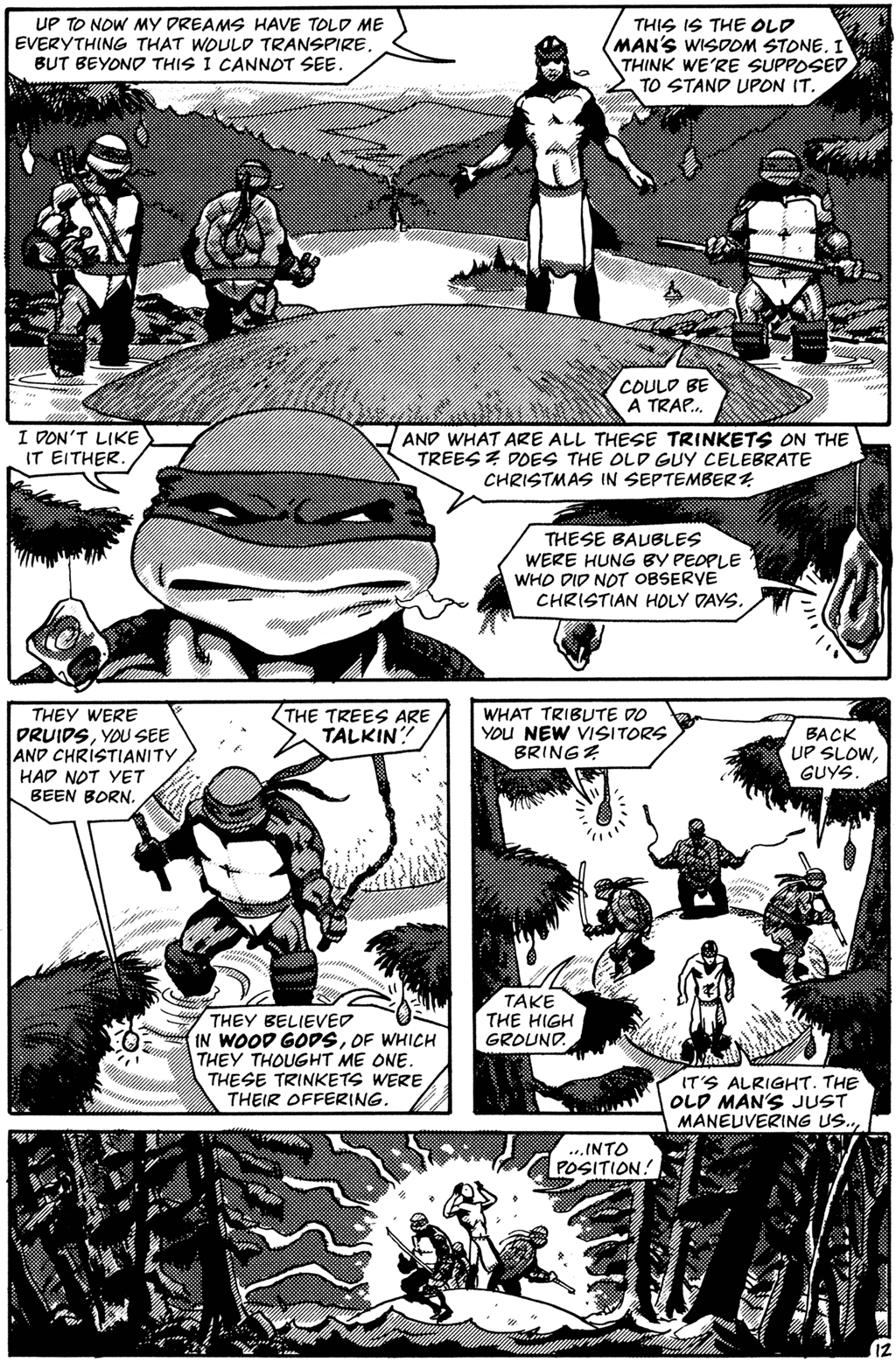 Read online Teenage Mutant Ninja Turtles (1984) comic -  Issue #26 - 14