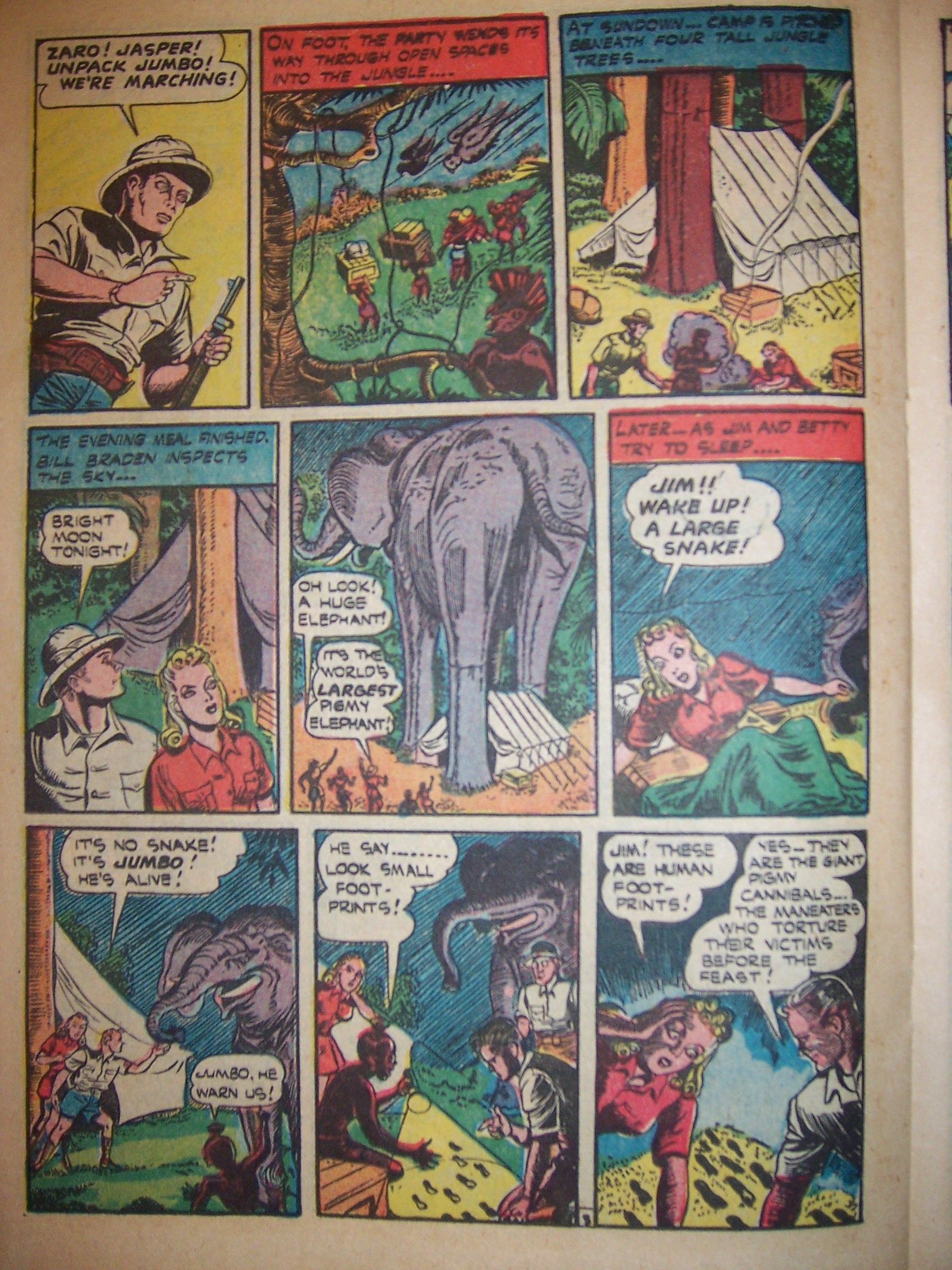 Read online Cat-Man Comics comic -  Issue #31 - 27