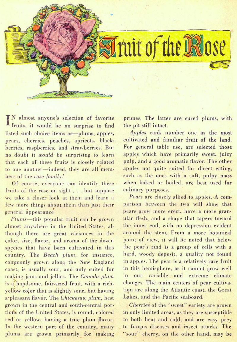 Read online Sensation (Mystery) Comics comic -  Issue #98 - 35