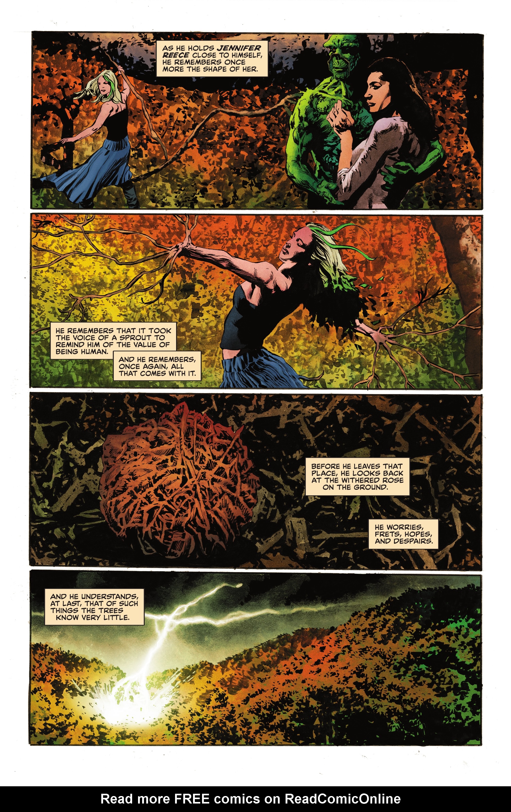 Read online The Swamp Thing comic -  Issue #12 - 16