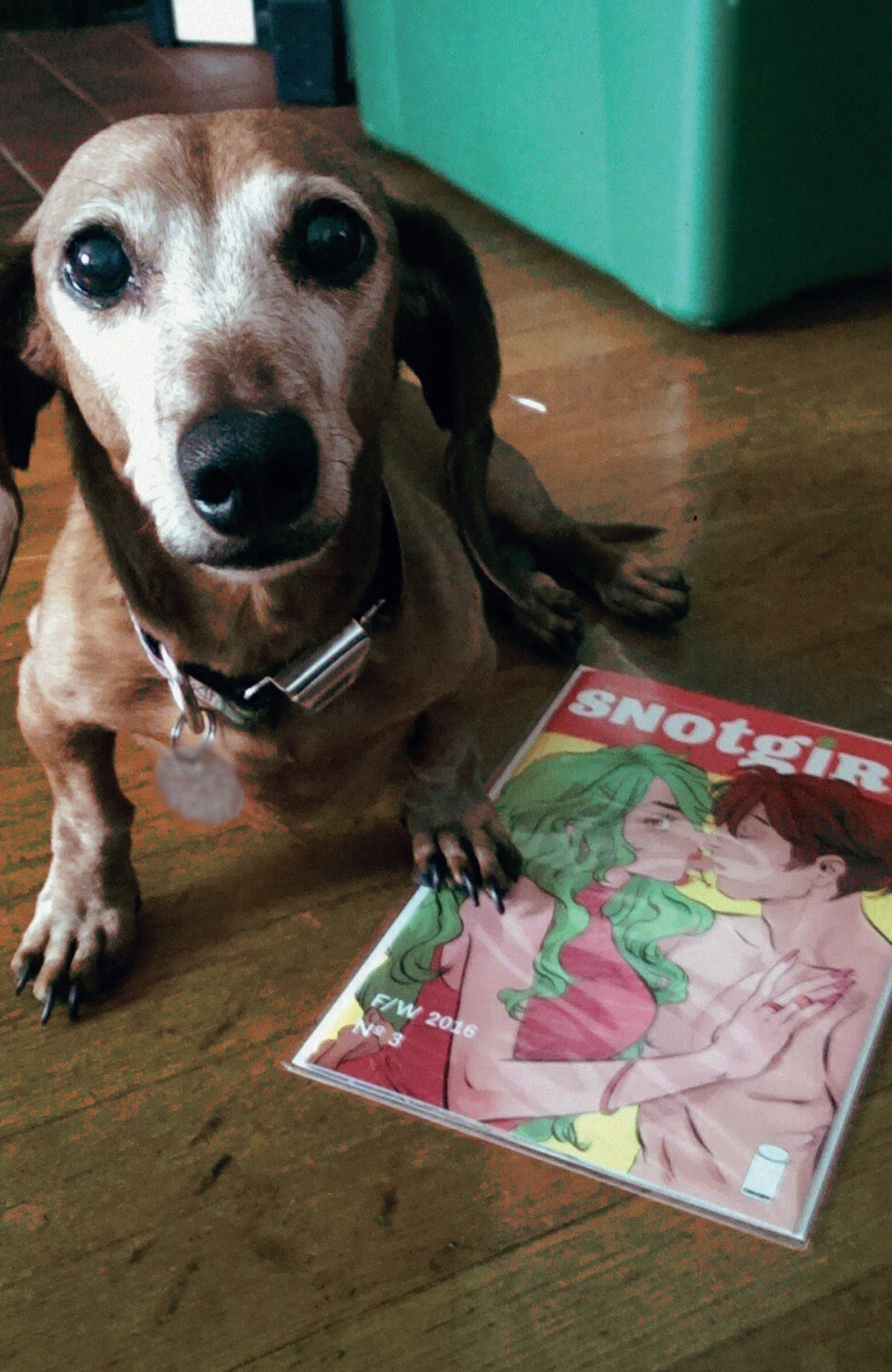 Read online Snotgirl comic -  Issue #4 - 30