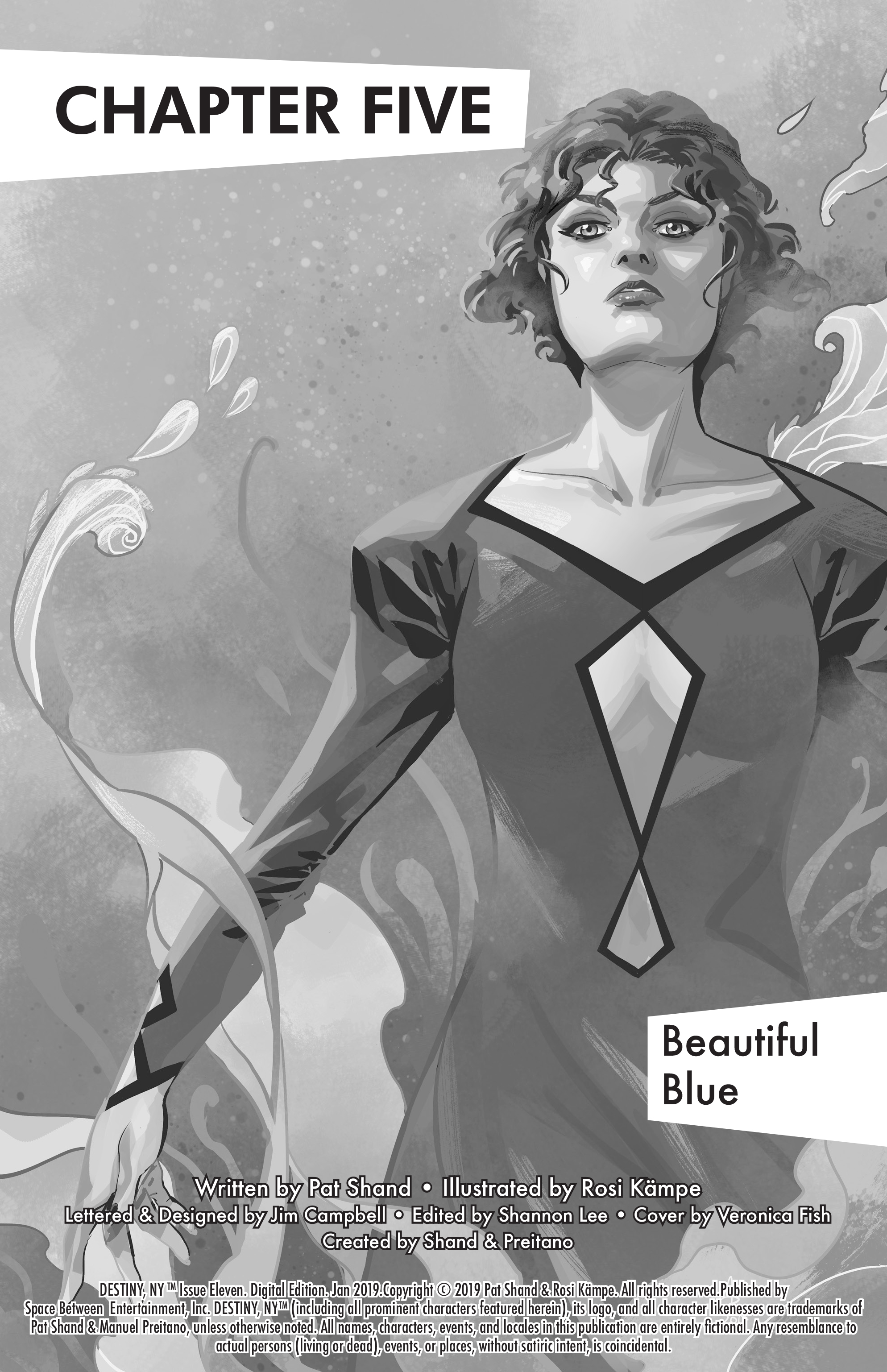 Read online Destiny, NY comic -  Issue #11 - 2