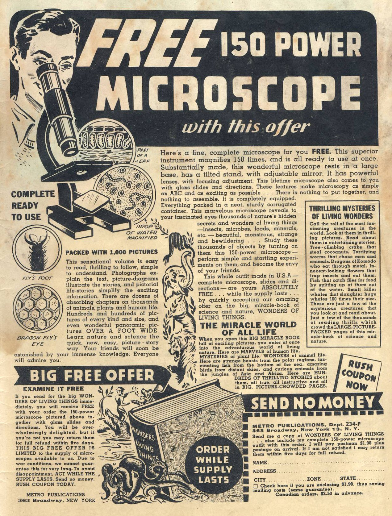 Read online Coo Coo Comics comic -  Issue #26 - 51