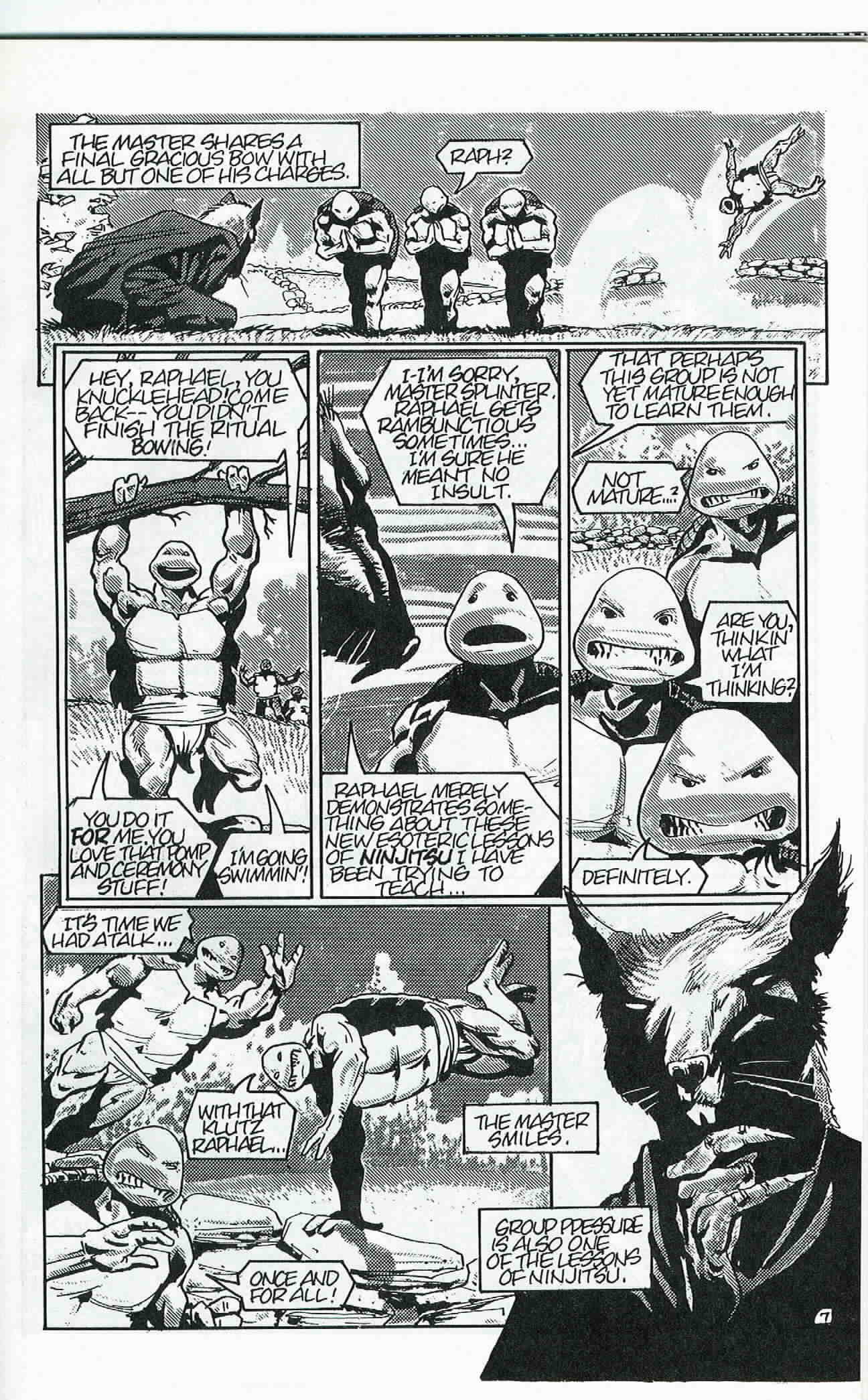 Read online Teenage Mutant Ninja Turtles (1984) comic -  Issue #24 - 8