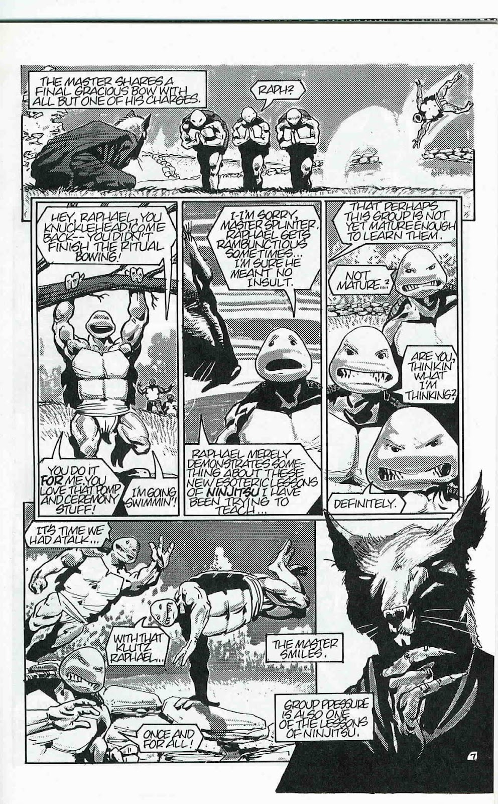 Teenage Mutant Ninja Turtles (1984) Issue #24 #24 - English 8